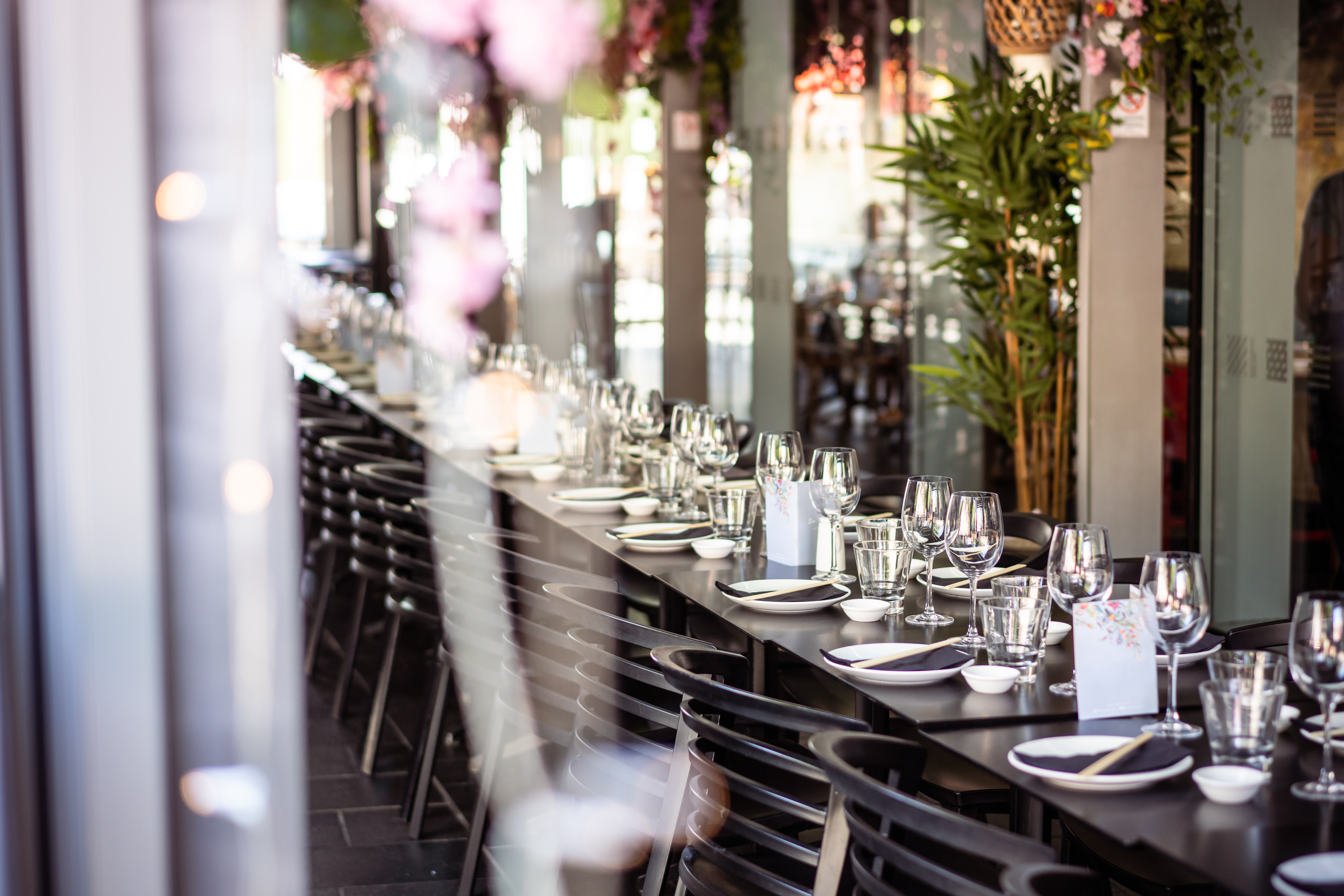 Cherry Blossom Private Terrace - q3aoxcesnxf.jpg