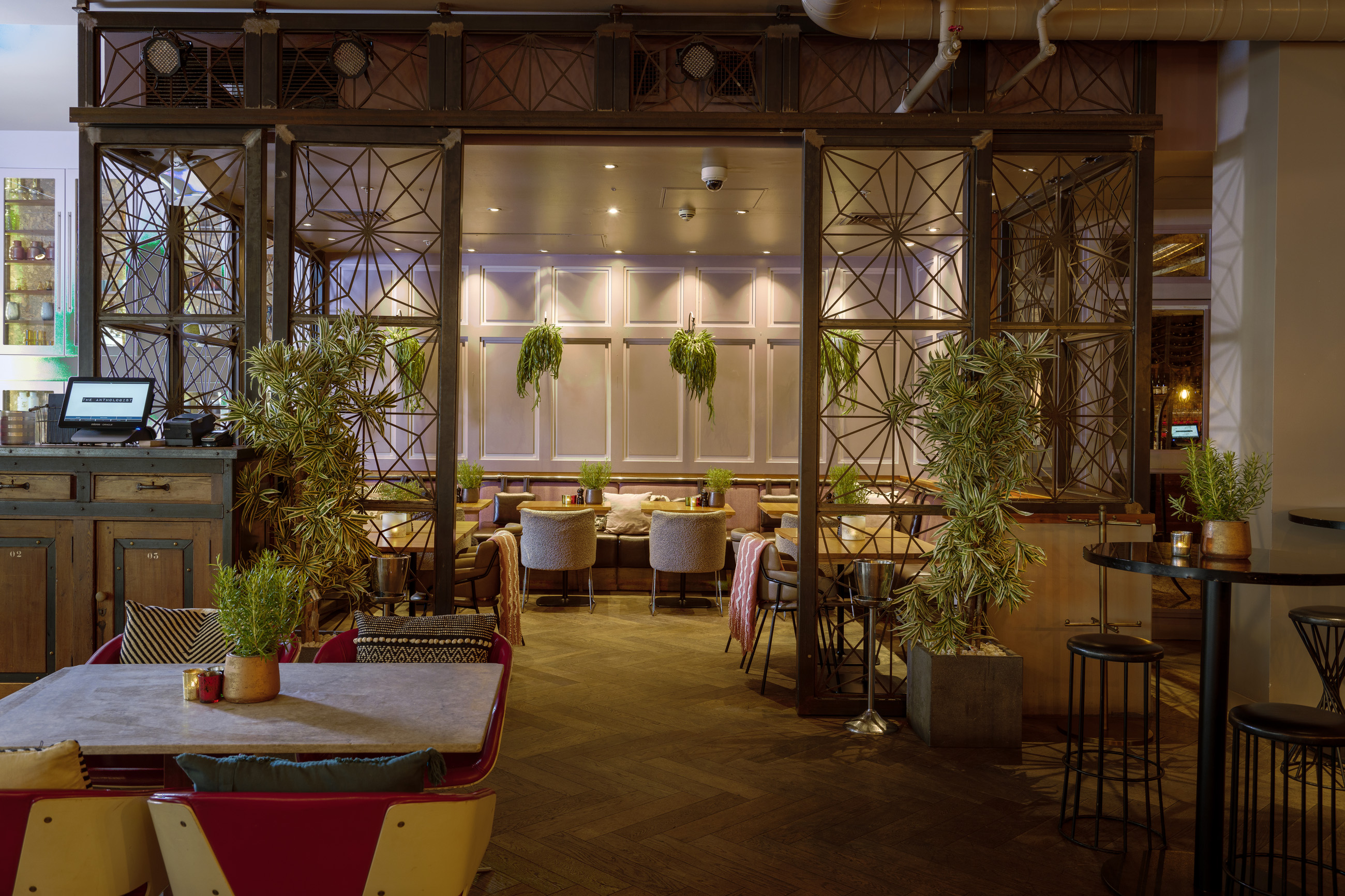 The Anthologist - image 3