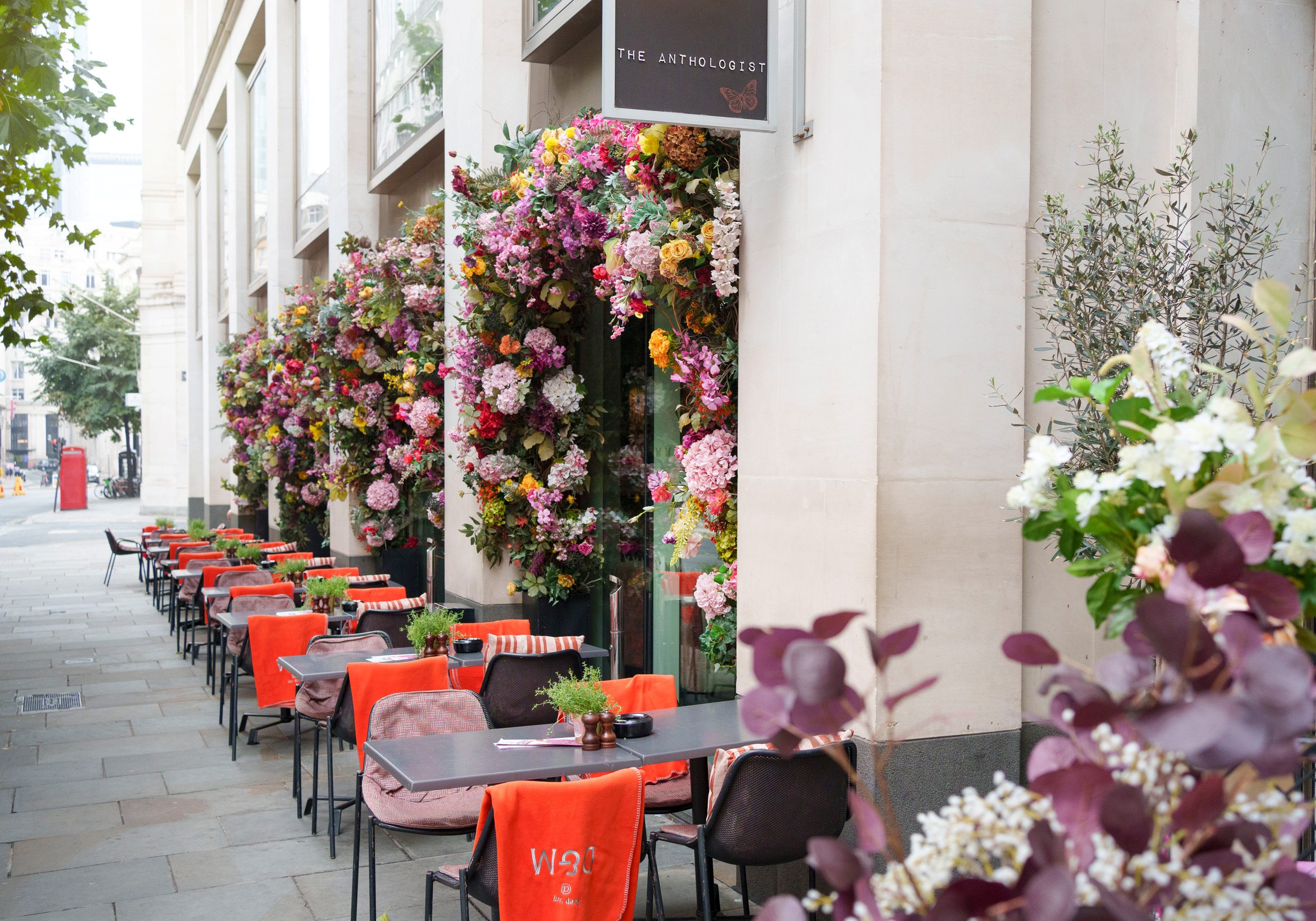 The Anthologist - image 1
