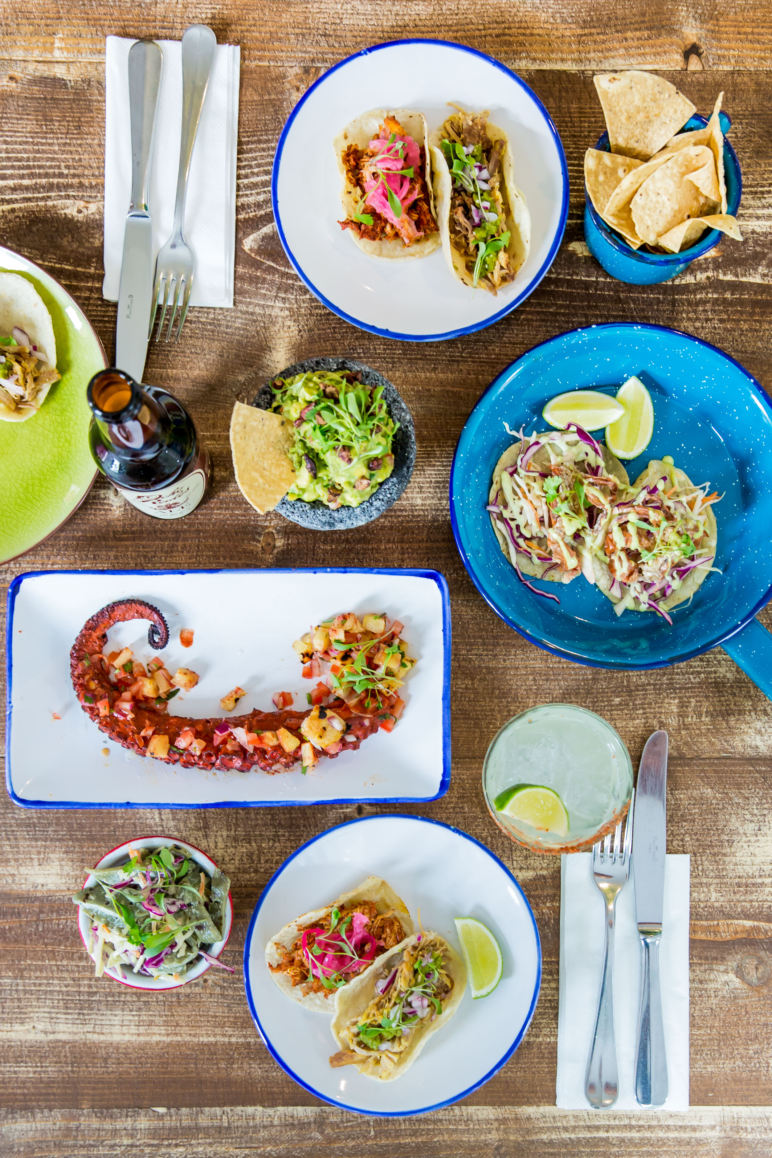 Agave dining room with gourmet octopus dish, ideal for corporate events and catering.