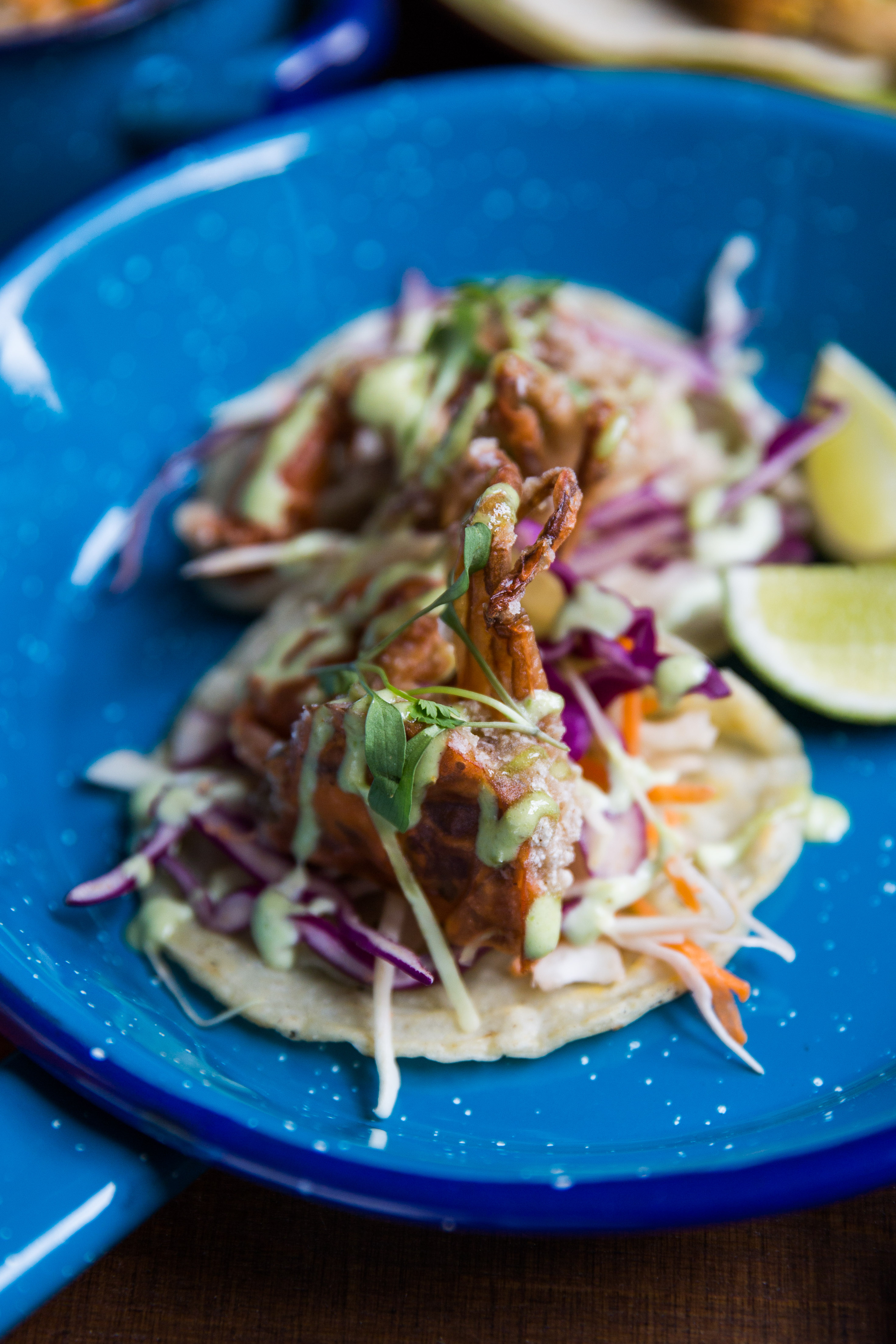 Agave dining room & Tequila and Mezcal Bar - jaxpodgbjvv.jpg