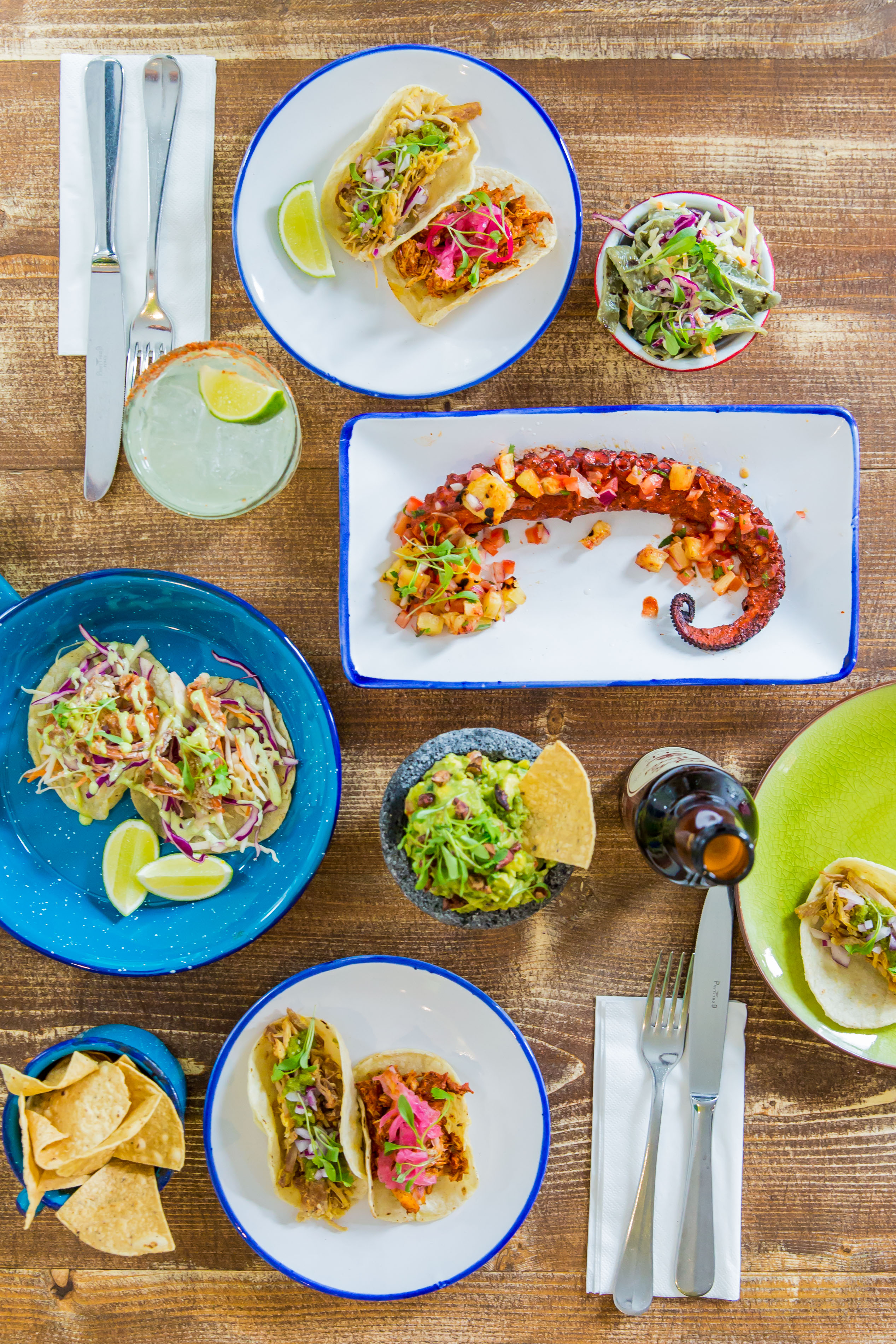 Agave dining room with vibrant octopus dish, perfect for events and networking.