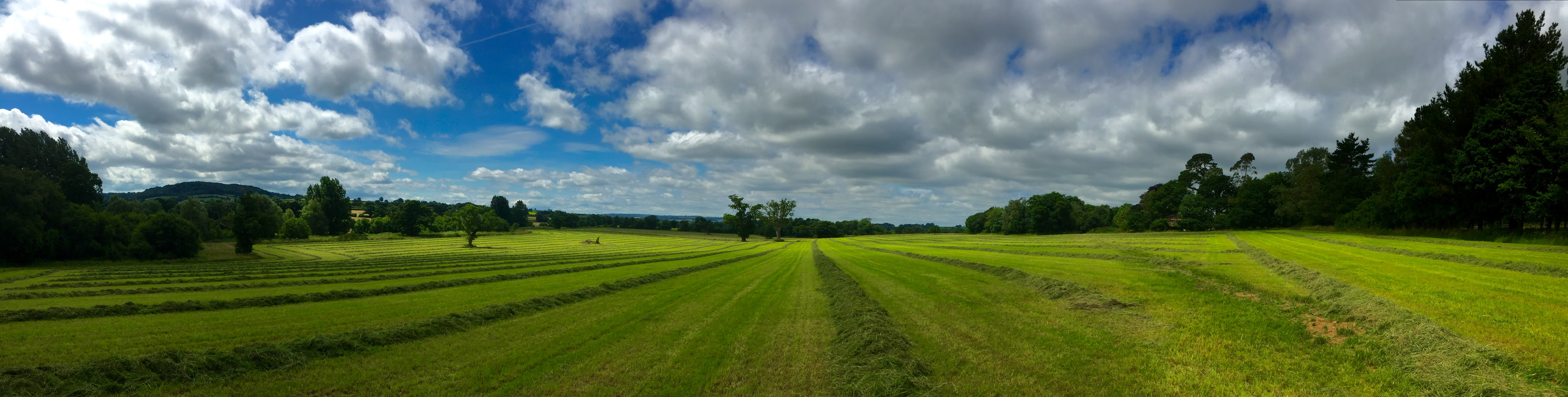 Gardens  - d5fysinoklz.jpg