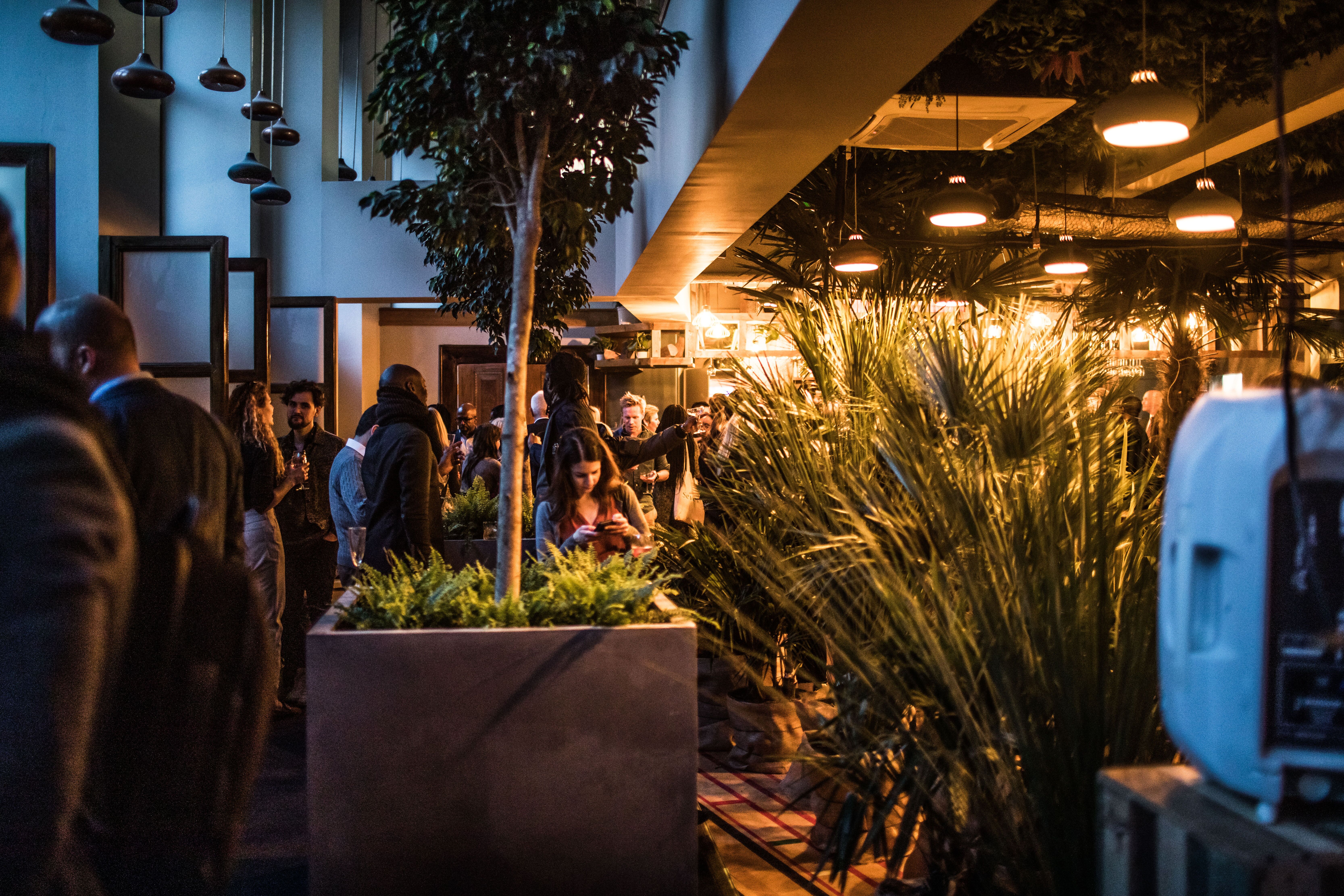 Vibrant networking event in lush ARBORETUM lounge, perfect for collaboration and connection.