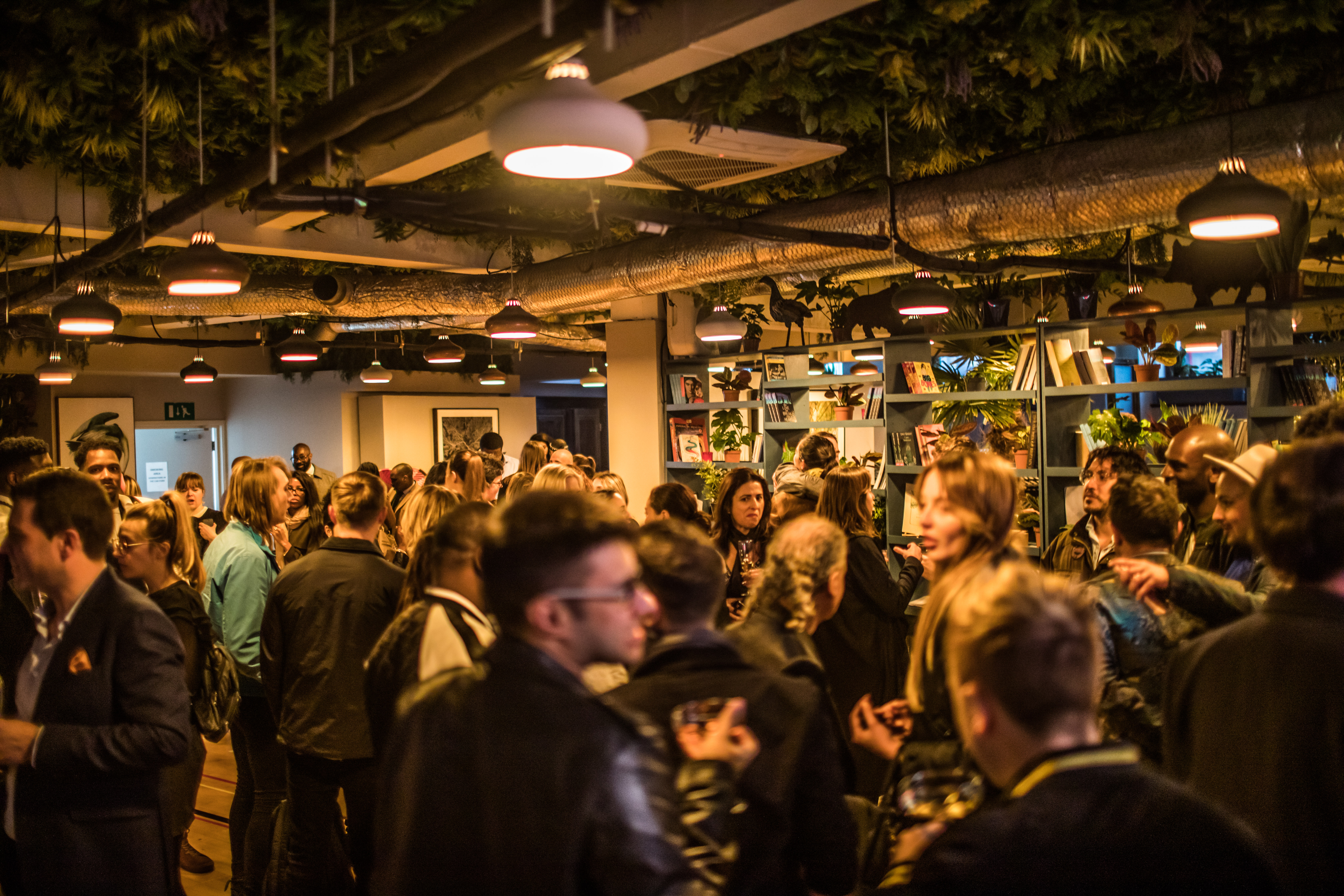 "Networking event in modern library lounge with warm lighting and greenery ambiance"