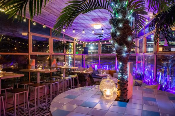 Vibrant event space in Studio 48 with illuminated palm trees for social gatherings.