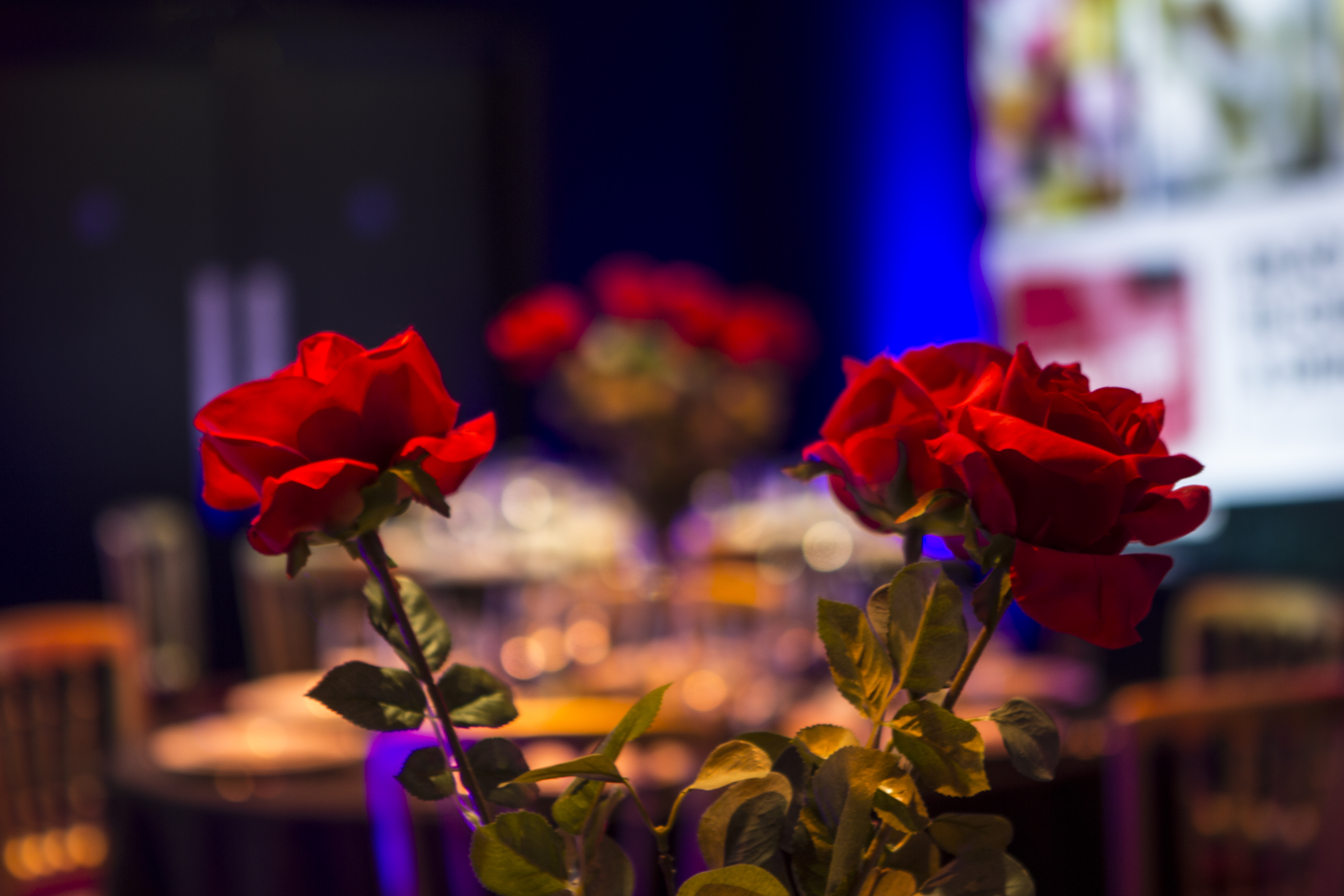 Elegant table with red roses in Cineworld O2, perfect for corporate events and meetings.