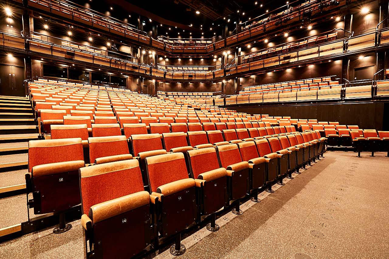 Bridge Theatre auditorium with tiered seating, ideal for presentations and performances.
