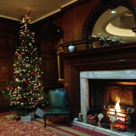 Whole Venue - vegvvbwhlkw.jpg