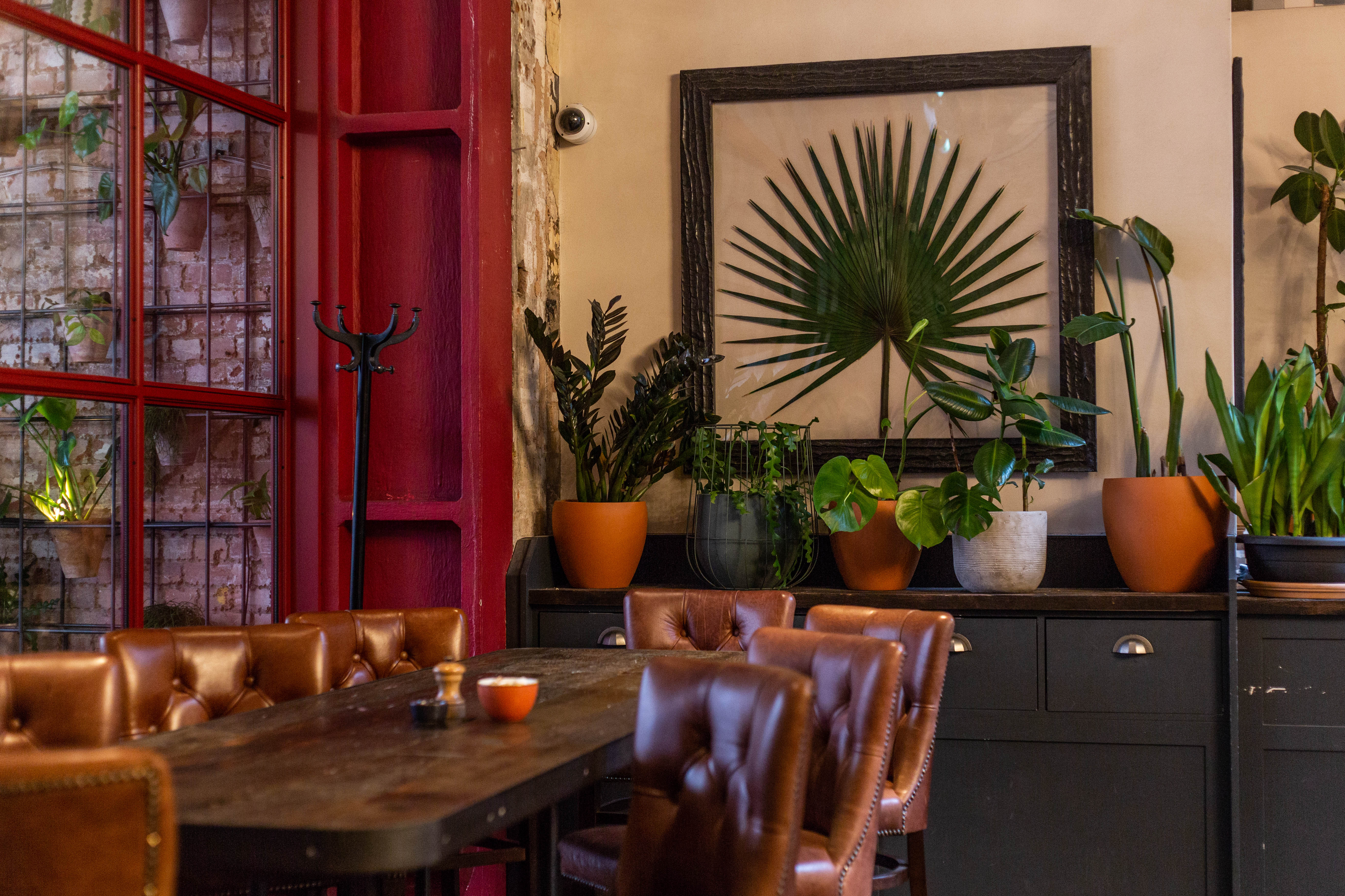 Stylish meeting space at Sophie's Bar with leather seating and greenery for gatherings.