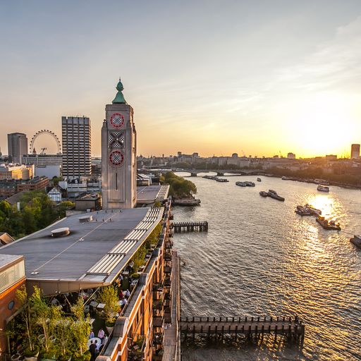 Cucumber - 5unjwrjgvqj.jpeg