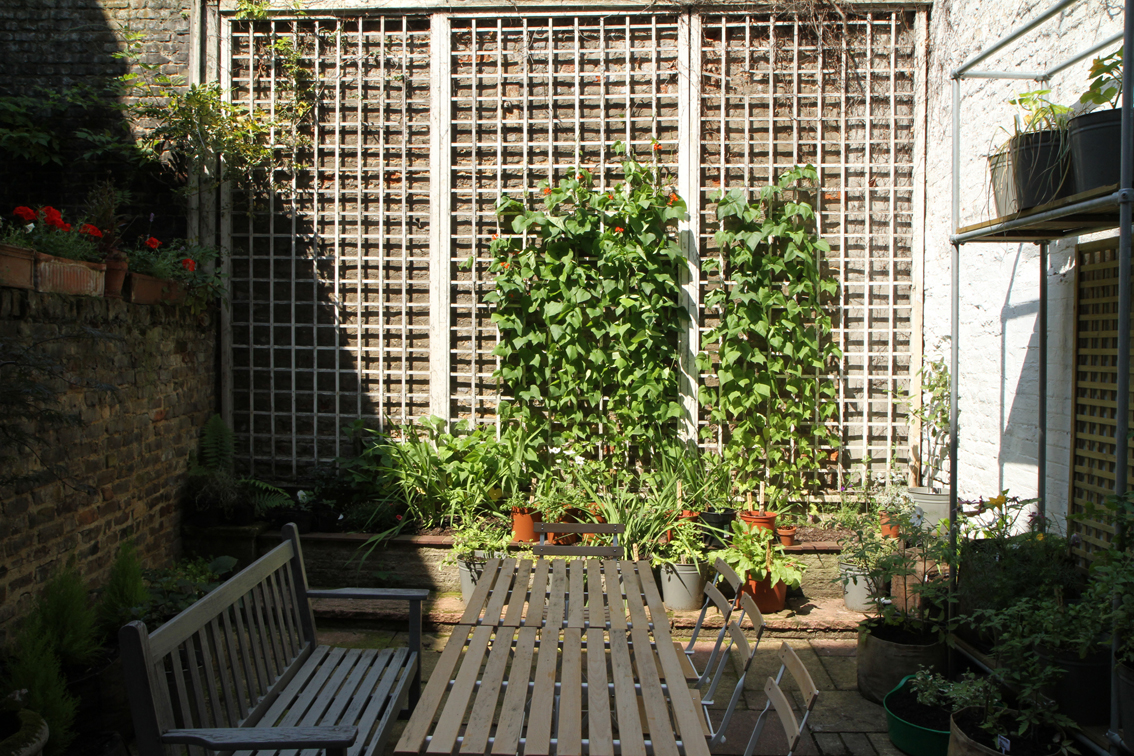 Outdoor meeting space with vertical garden for workshops and team retreats.