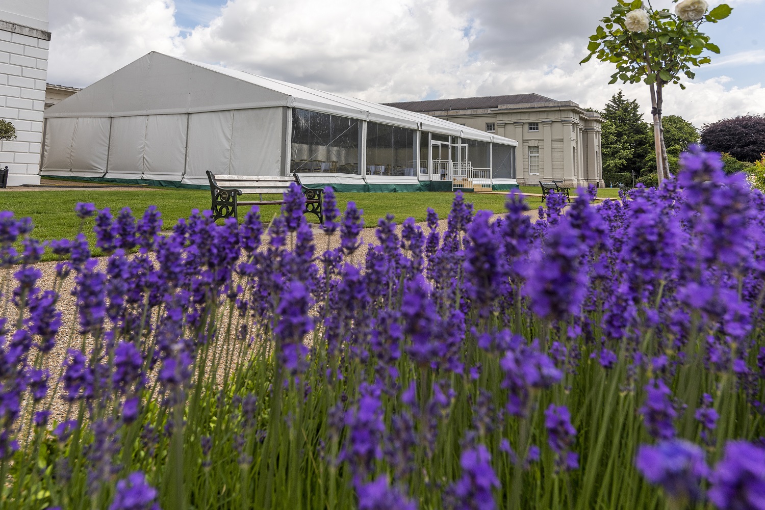 South Lawns at The Queen's House, elegant marquee, perfect for weddings and events.