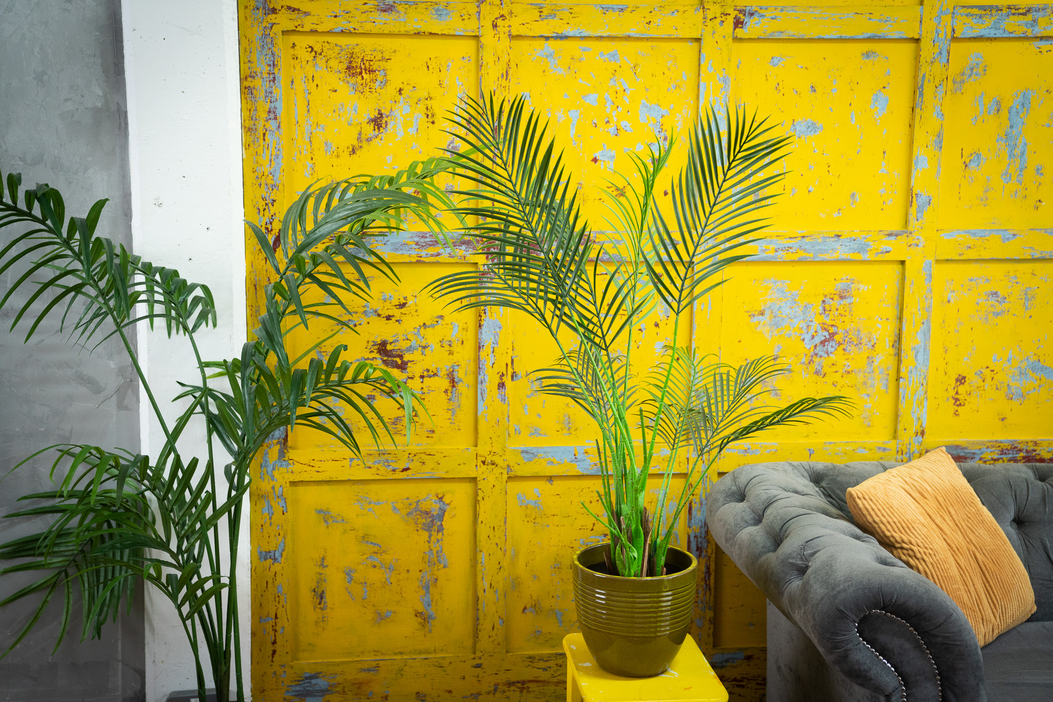 Crixus Warehouse Kitchen & Cove - axow5wdufss.jpg