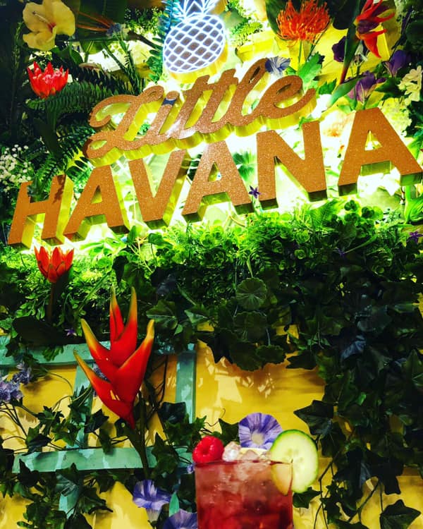 Little Havanna room - onsjx5ed1cq.jpg