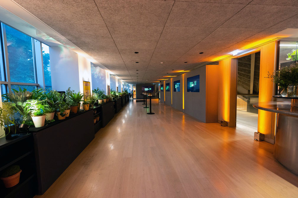 The Sachs Family Park Room - ac1524ca-84e3-4072-87c0-1fa9494583d5.png