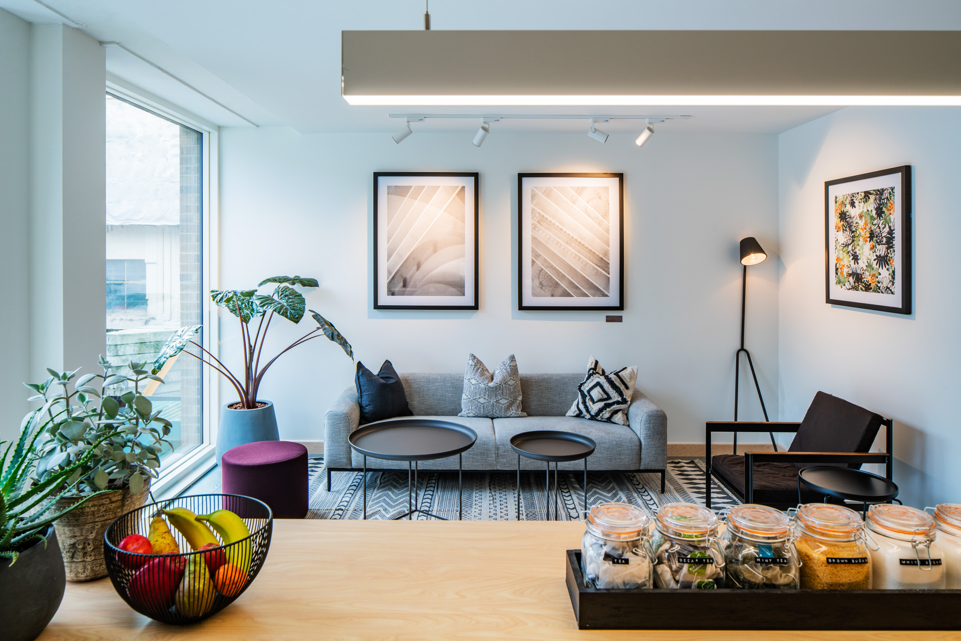 x + why - uywr4rajpbc.jpg