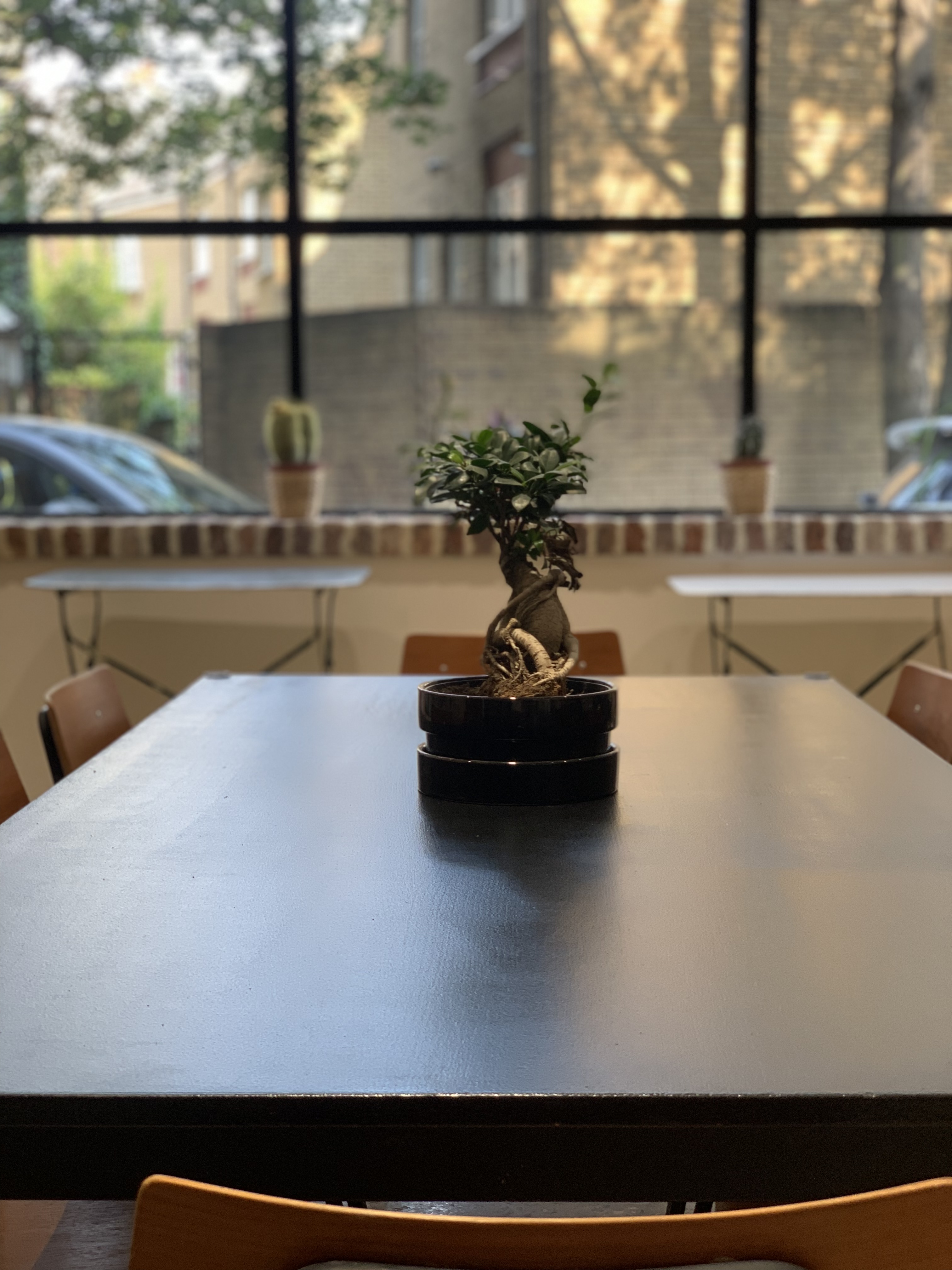 Pod 4 - cpnnf1bgmen.JPG