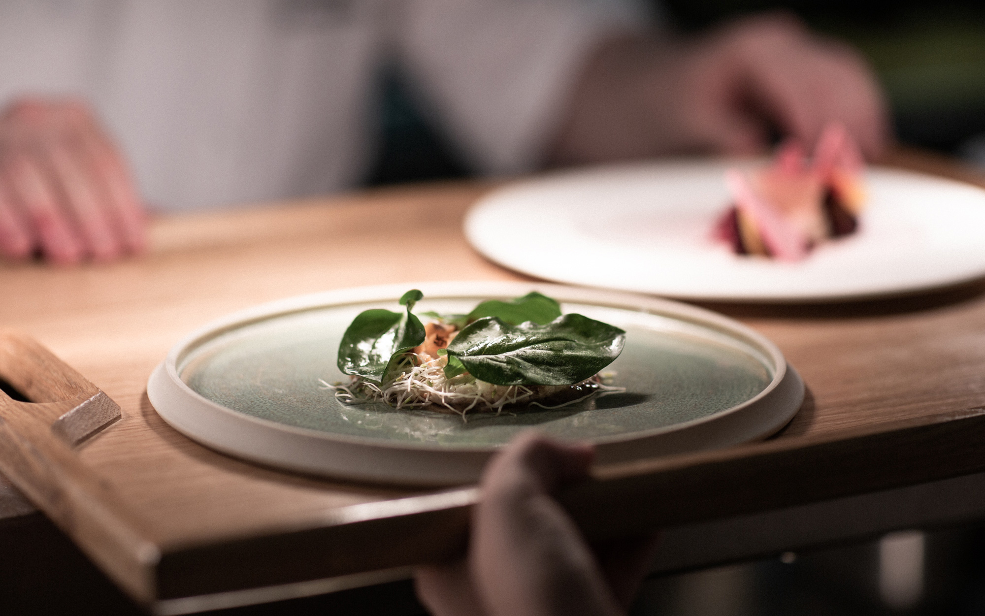 Elegant dish presentation at Sequoia, Rockliffe Hall for event catering.