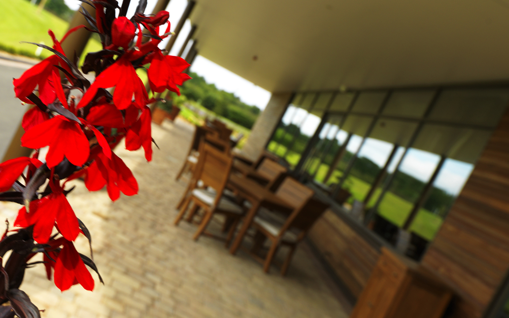 Stanwick at Rockliffe Hall: vibrant flowers and inviting outdoor space for events.