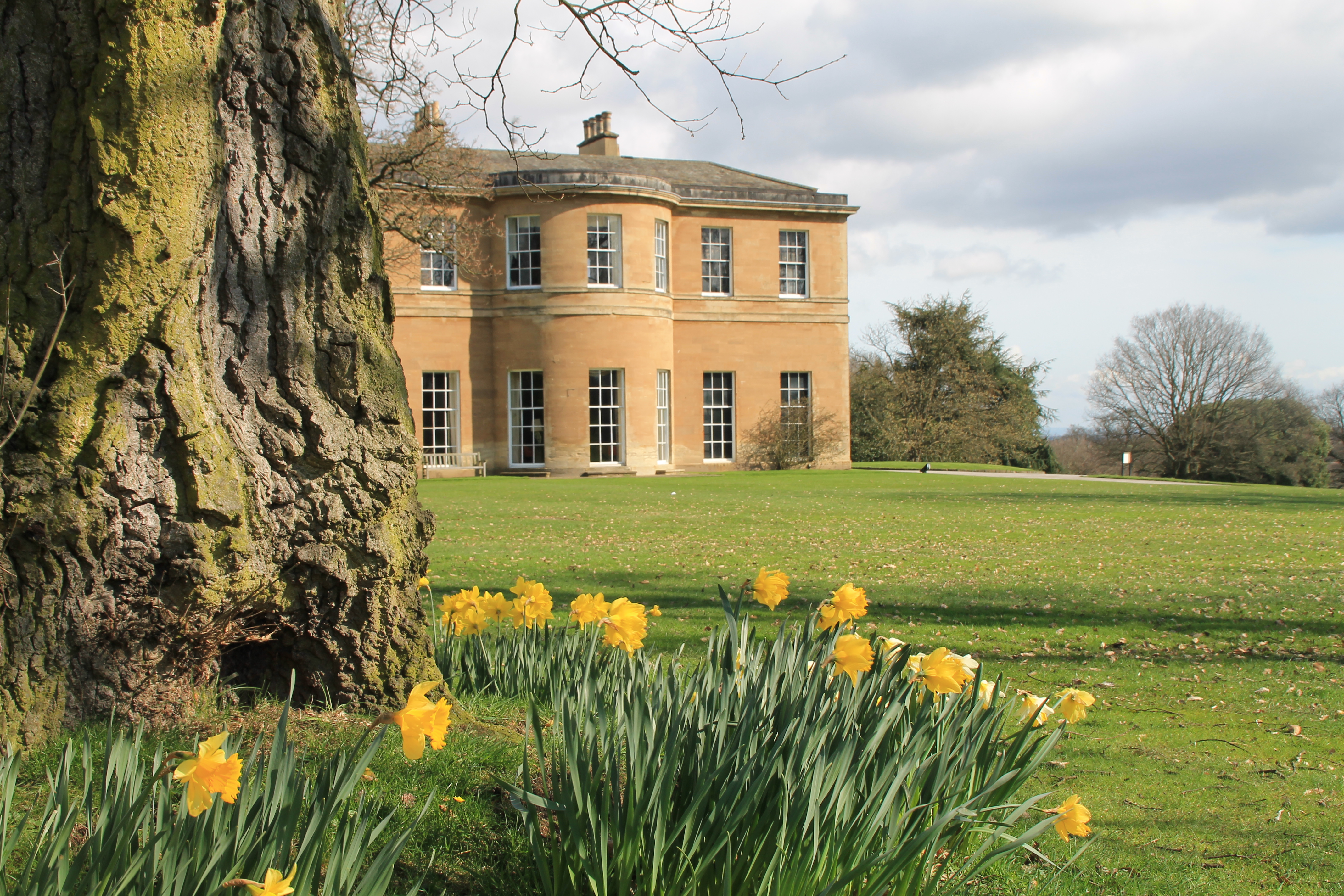 Historic Rudding Park Library venue with vibrant daffodils for outdoor weddings and events.