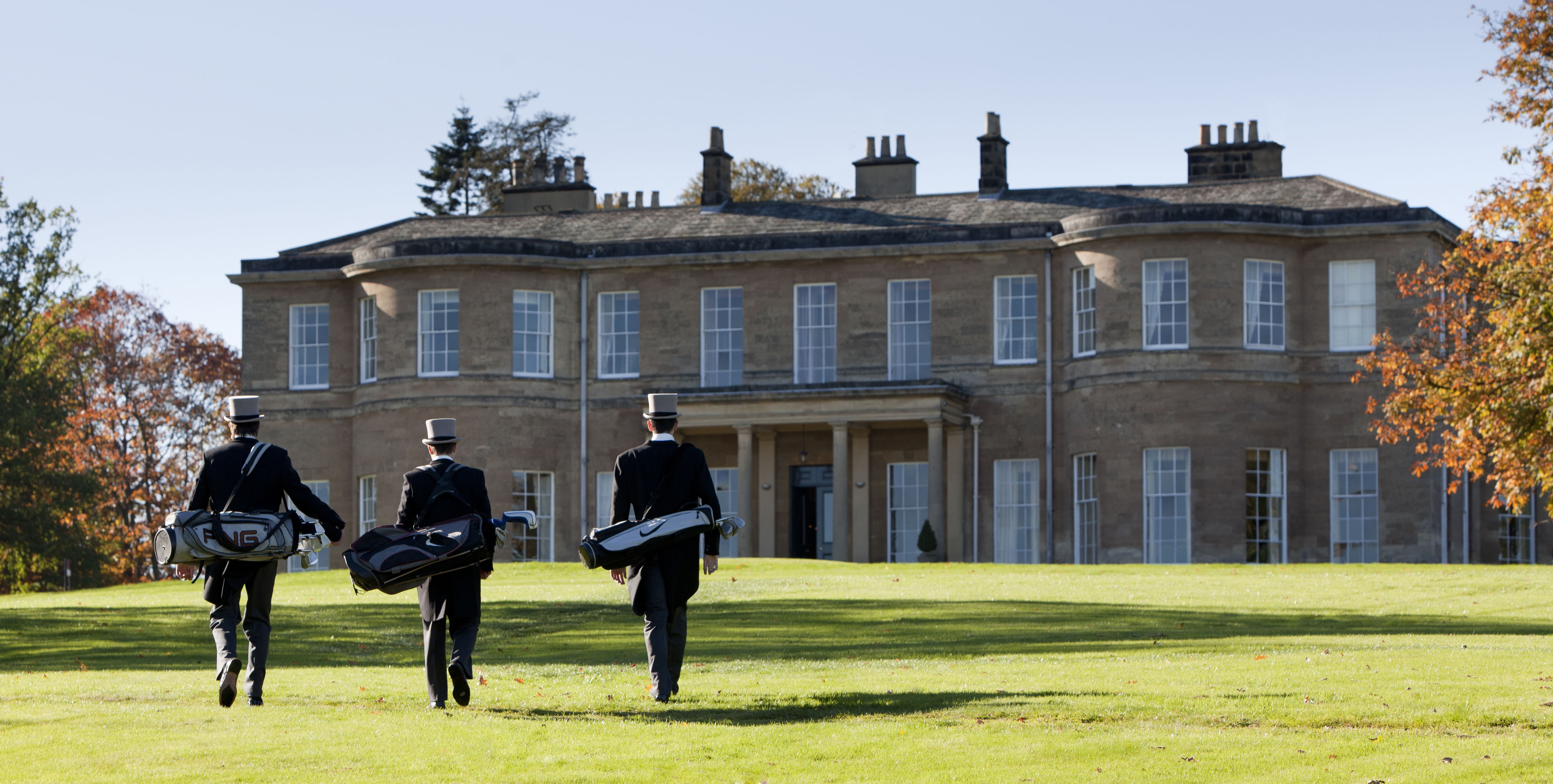 The Library - f3ydeqjfszb.jpg