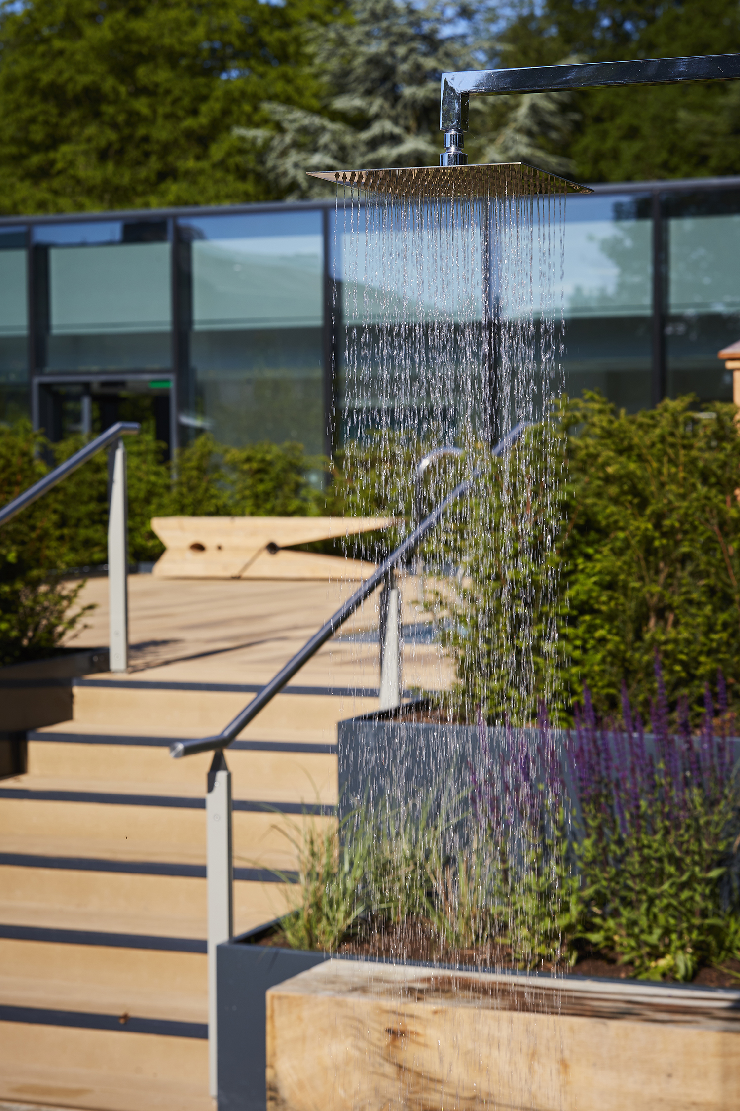 The Library - wzgibccg21n.jpg