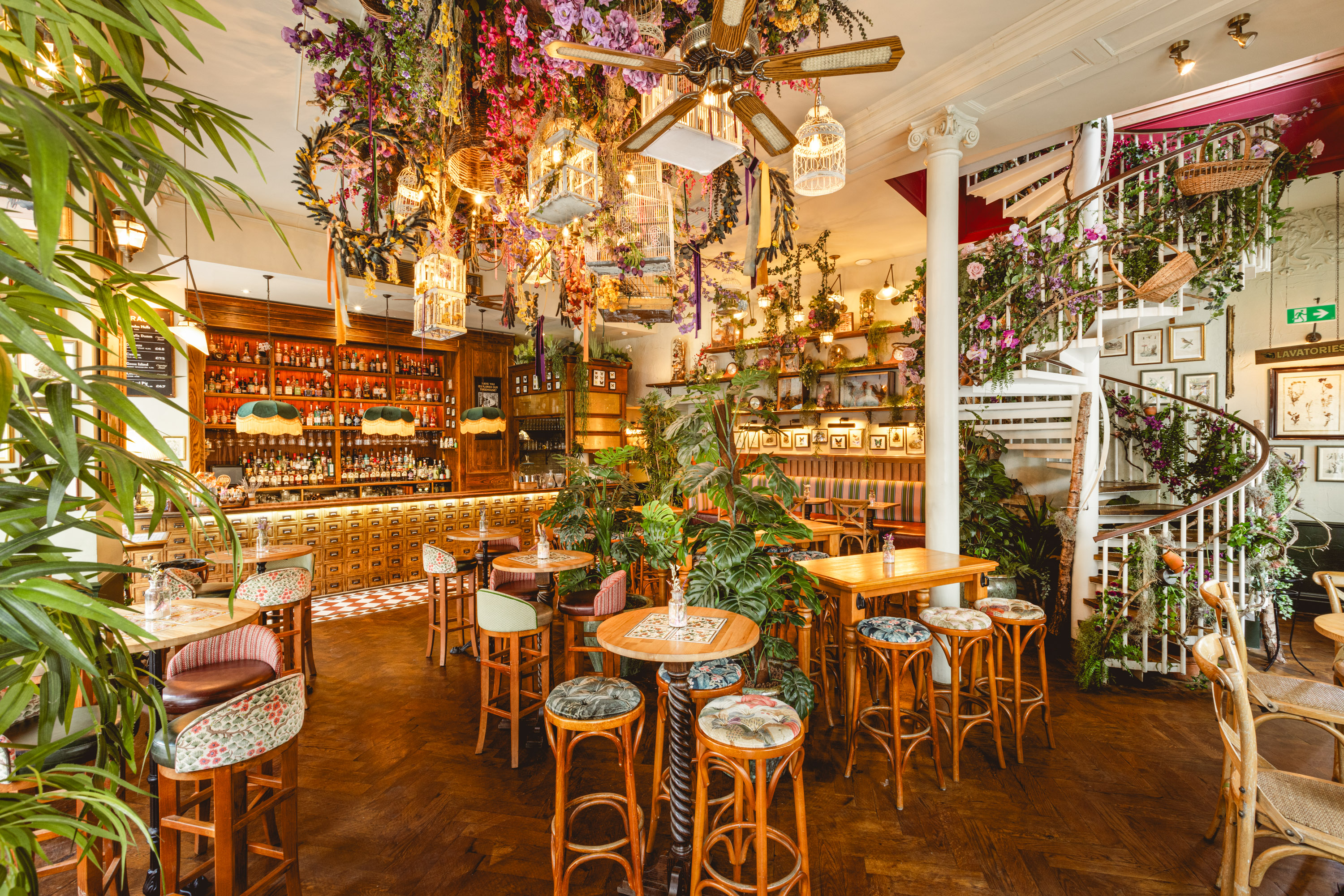 Mr Fogg's Botanical Tavern - wz1ijri2do4.jpg