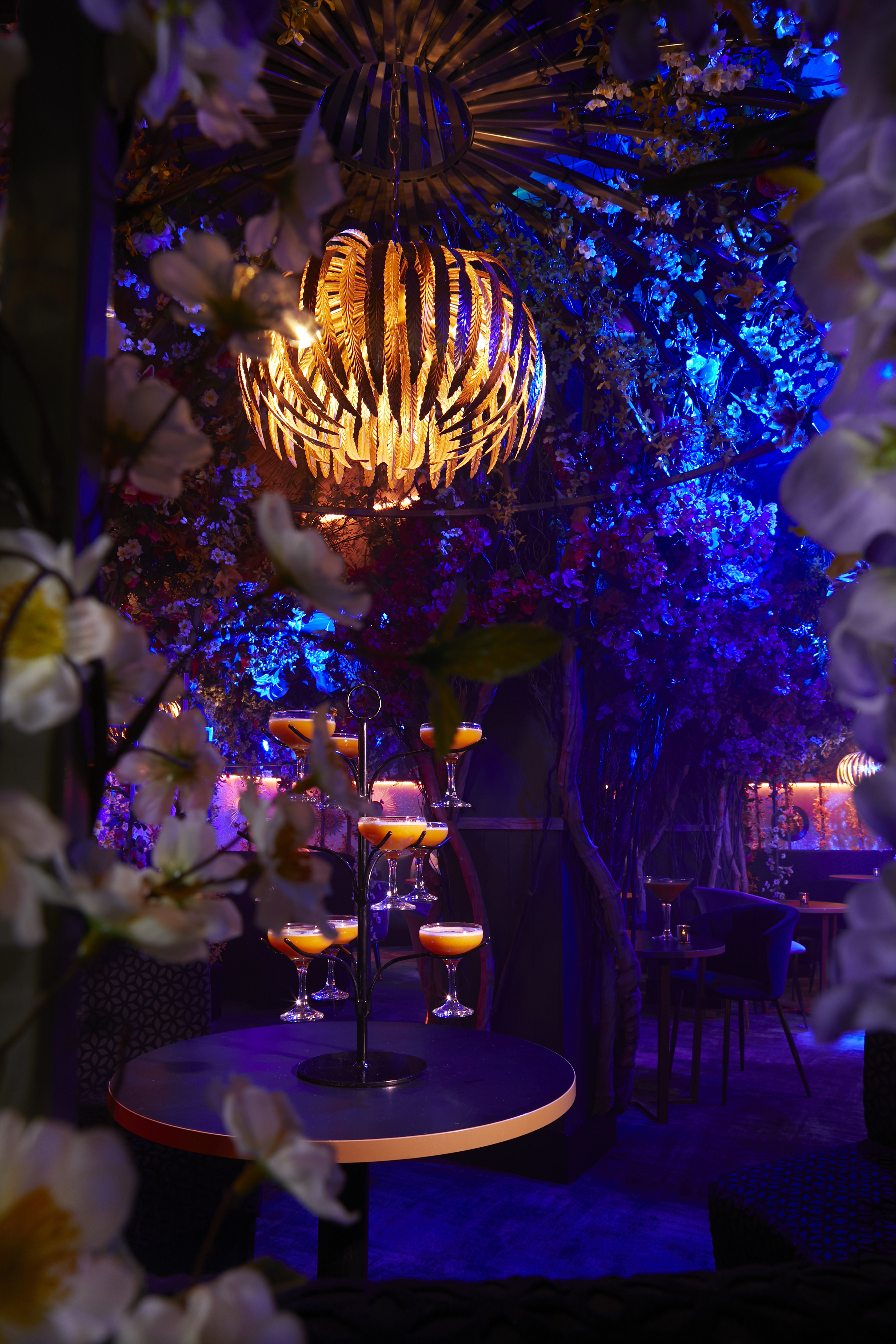 Le Club  - bszudxiggd4.jpg