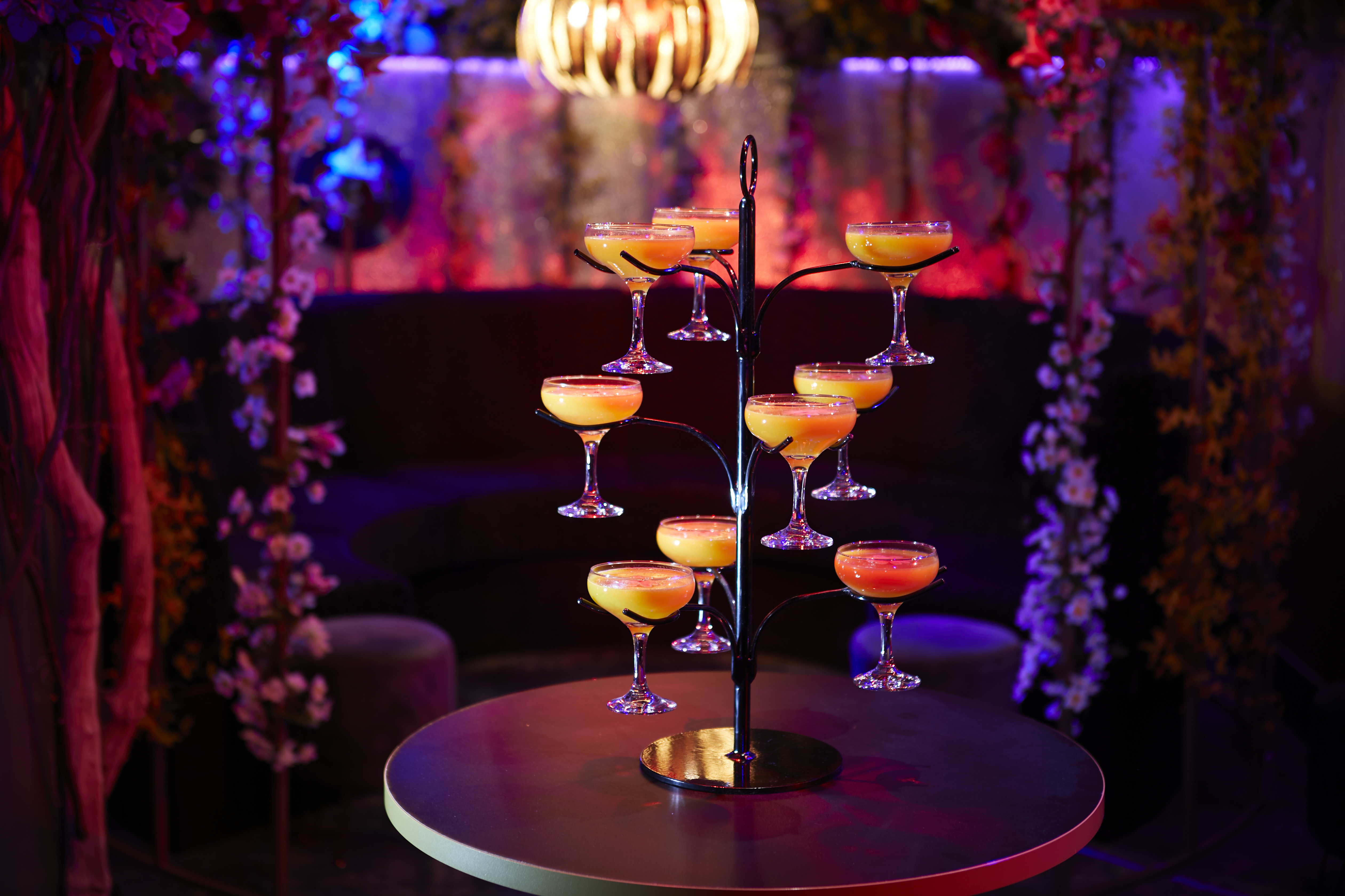 Le Club  - s32pdixr5mo.jpg