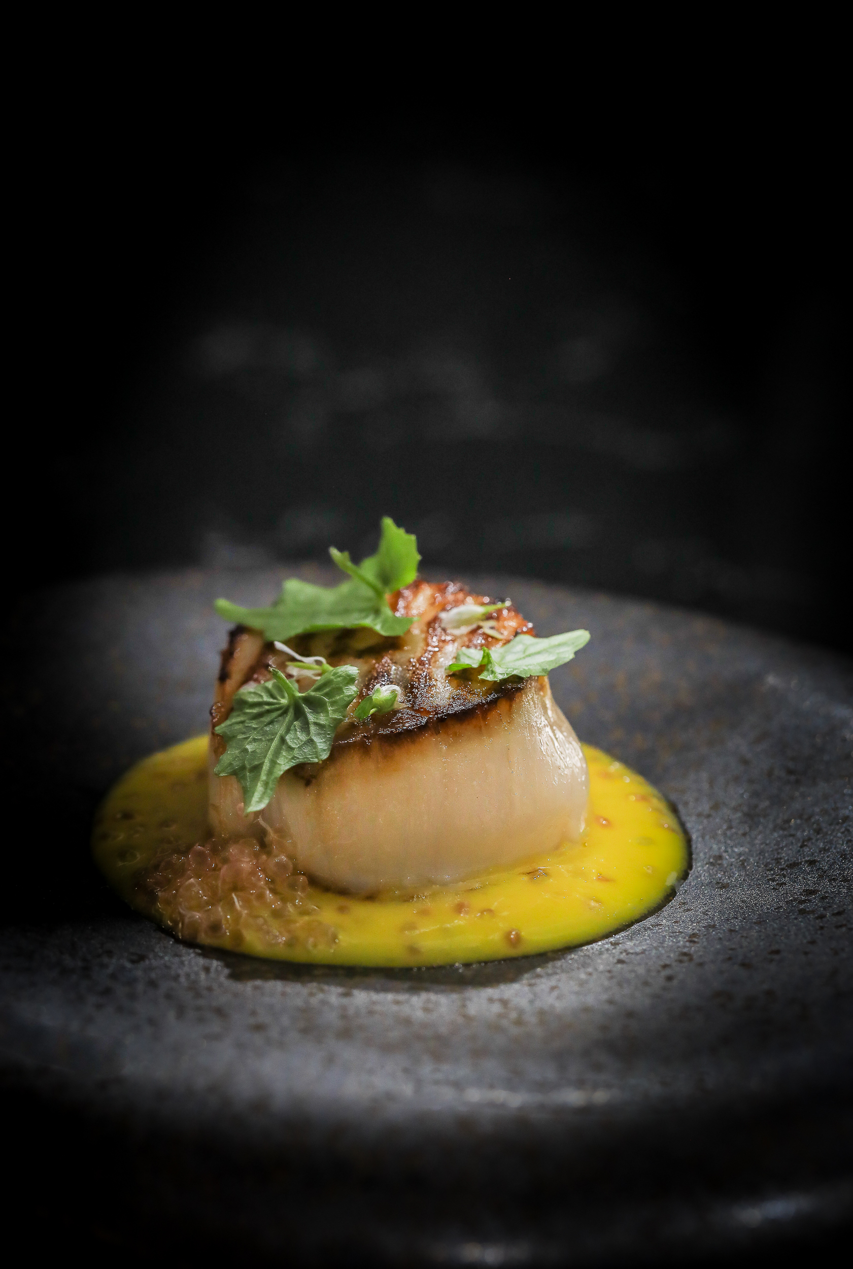 Plated scallop at Umi in Lucky Cat, showcasing elegant dining for events and catering.