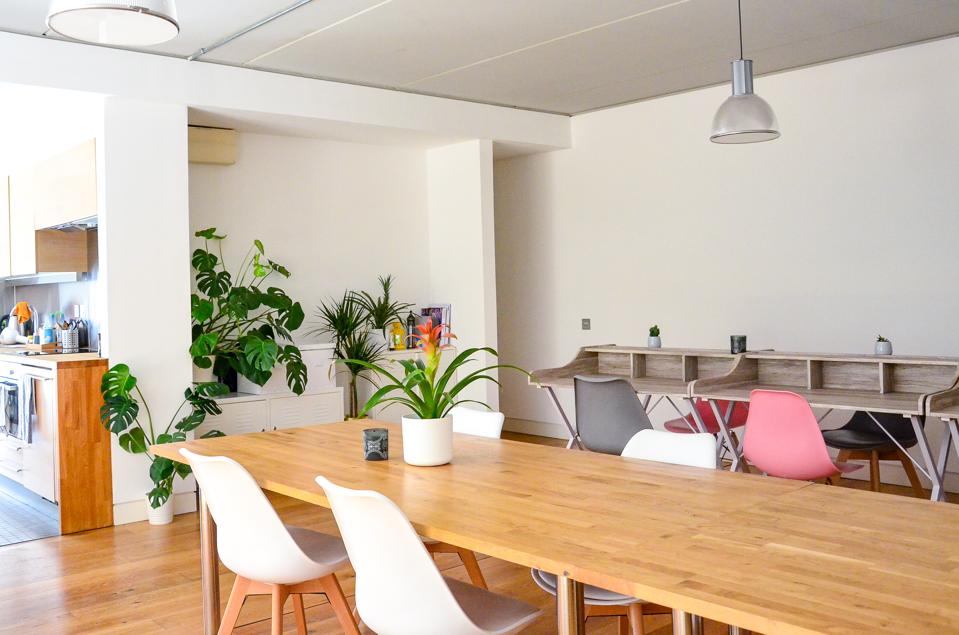 Blooming Founders - image 1