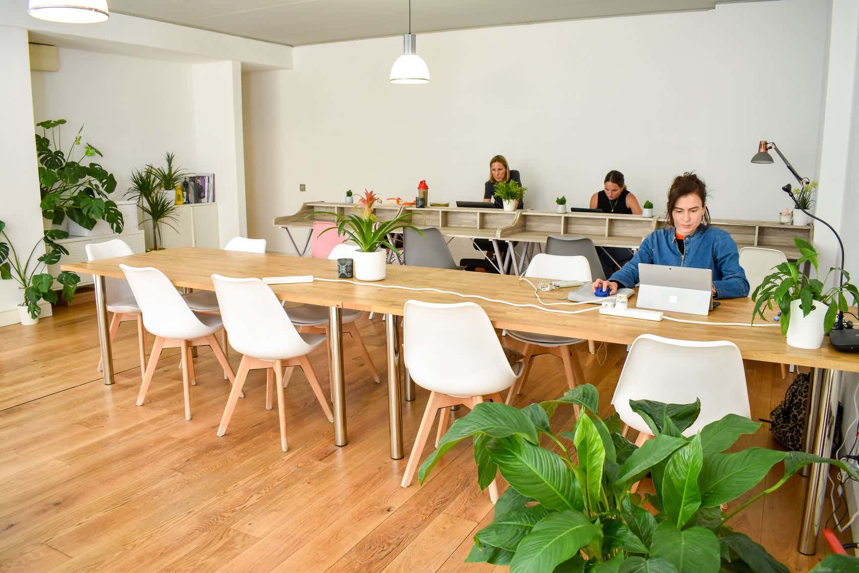 Modern open workspace with wooden table and greenery, perfect for collaborative meetings.