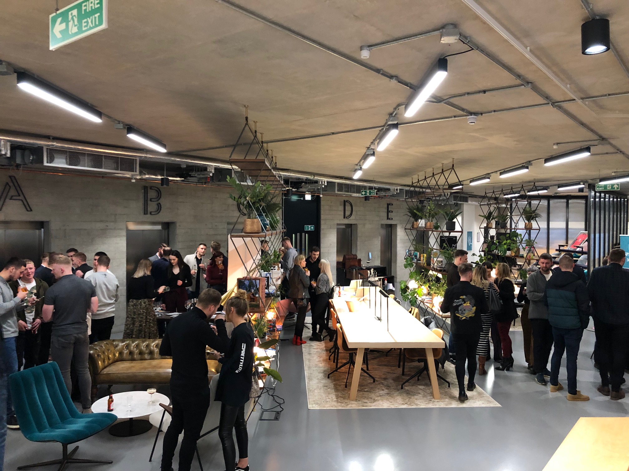 Vibrant networking event at The Agora with stylish seating and greenery for collaboration.