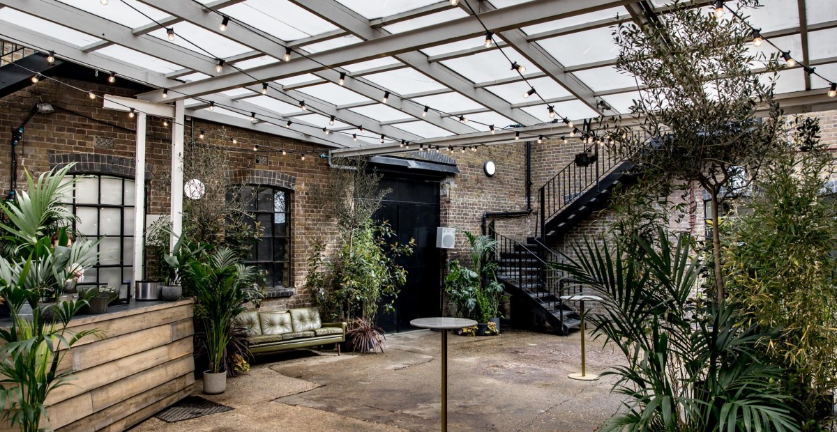 Studio Daylight - 0805d67f-e68f-403a-8571-451bc20d59dd.jpeg