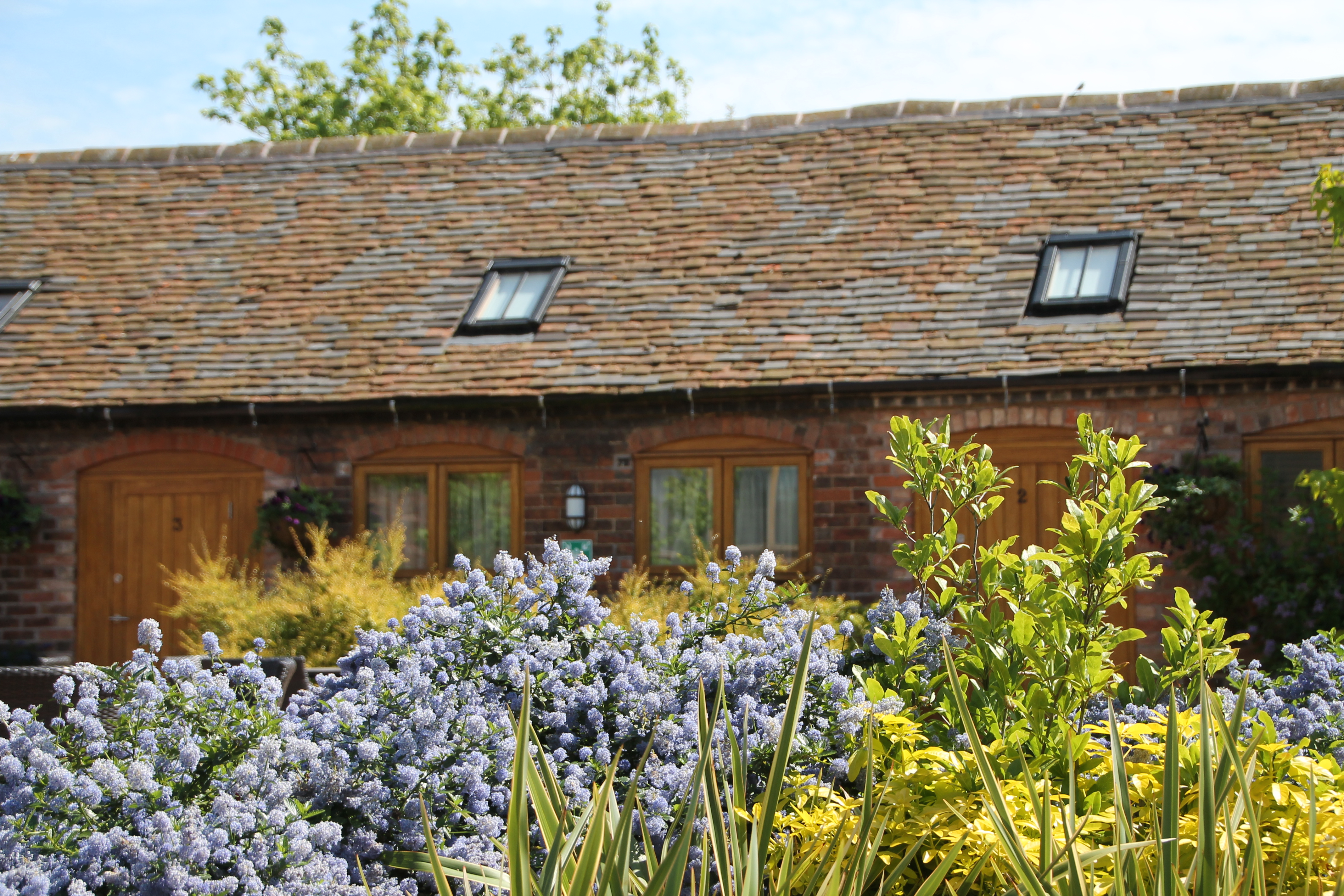 Charming Mythe Barn courtyard with rustic architecture, perfect for outdoor weddings and events.