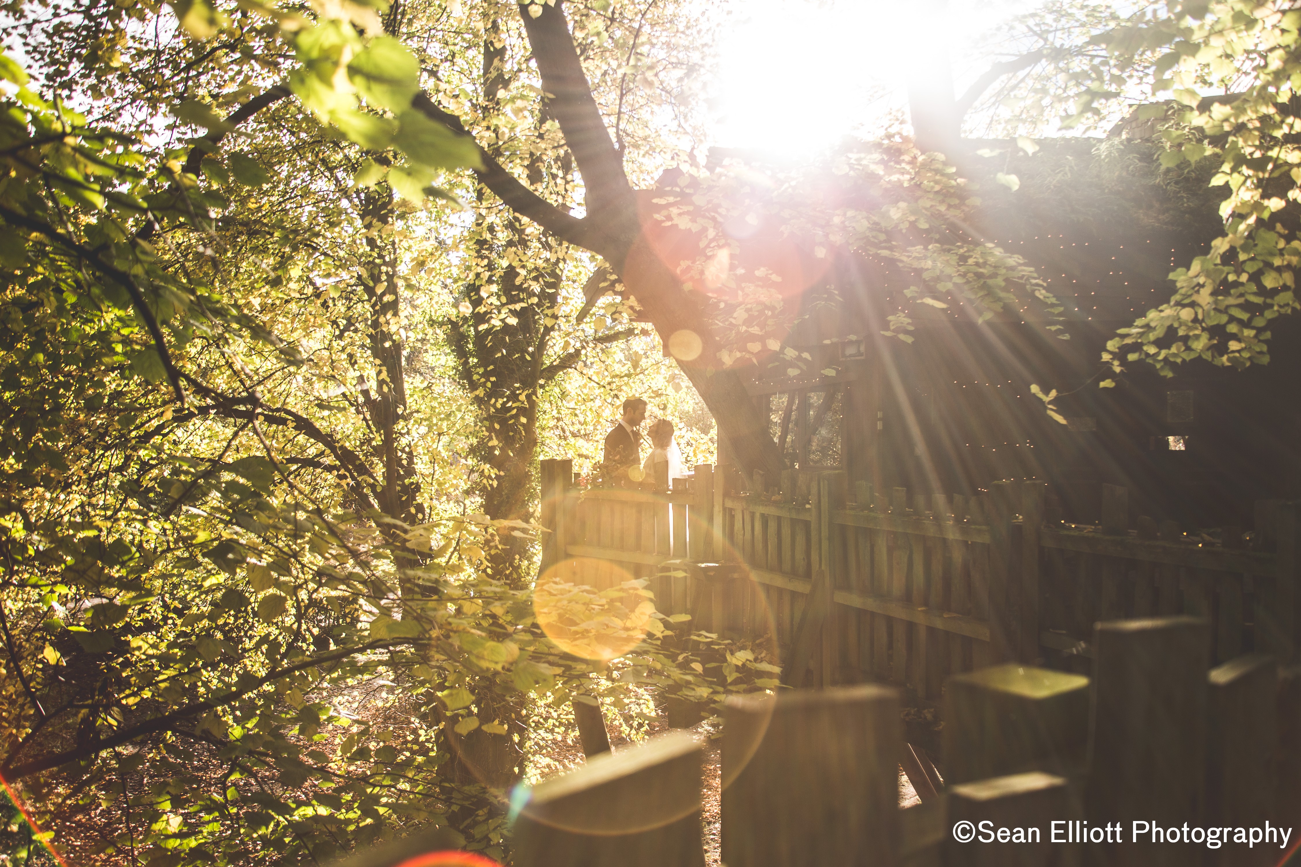 Treehouse at Alnwick Garden, serene outdoor venue for retreats and team-building events.