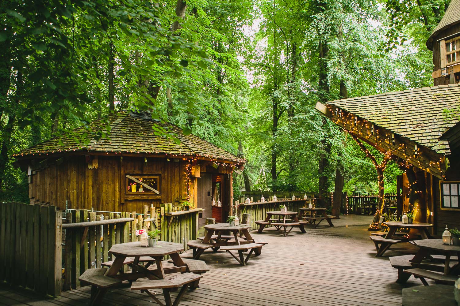 Charming Treehouse venue in Alnwick Garden, ideal for retreats and gatherings.