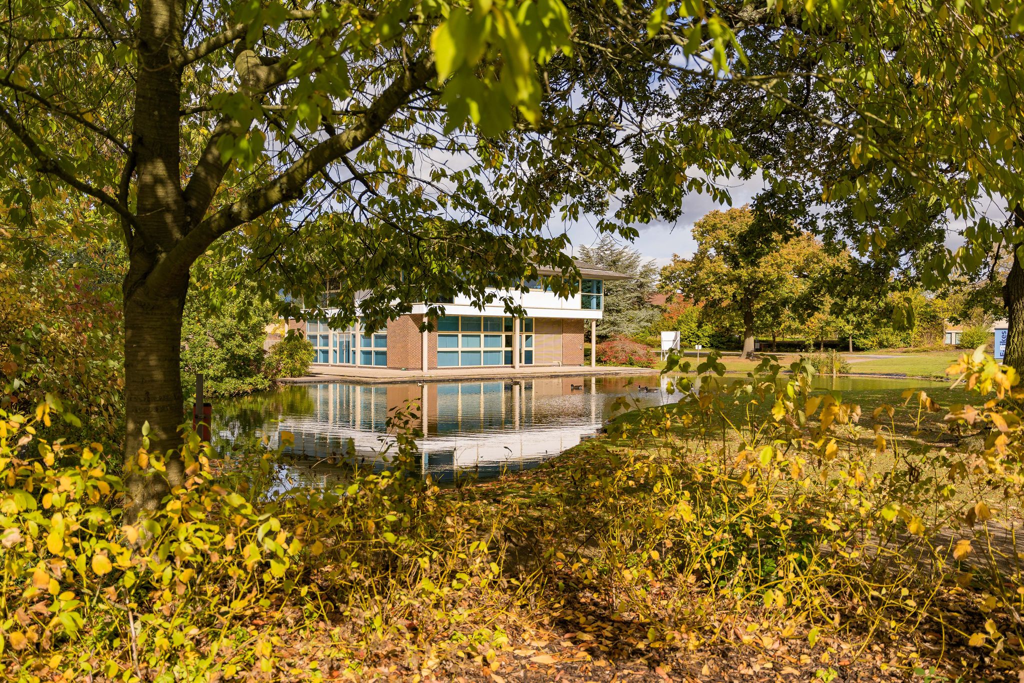 Baskerville Suite - ply2gzqjysq.jpeg