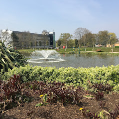 Magenta Suite - rp1ovne1s3l.JPG