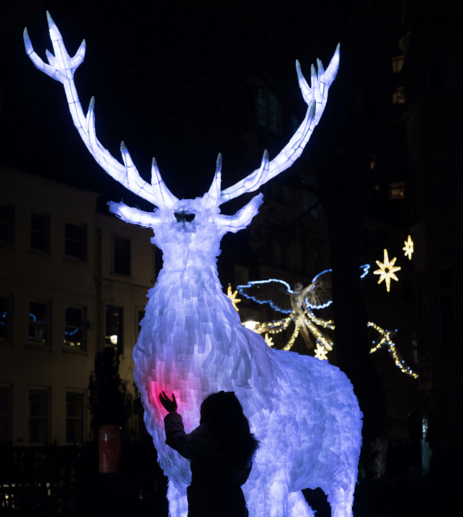 Illuminated reindeer sculpture in Southwood Garden, St James's Church for festive winter events.