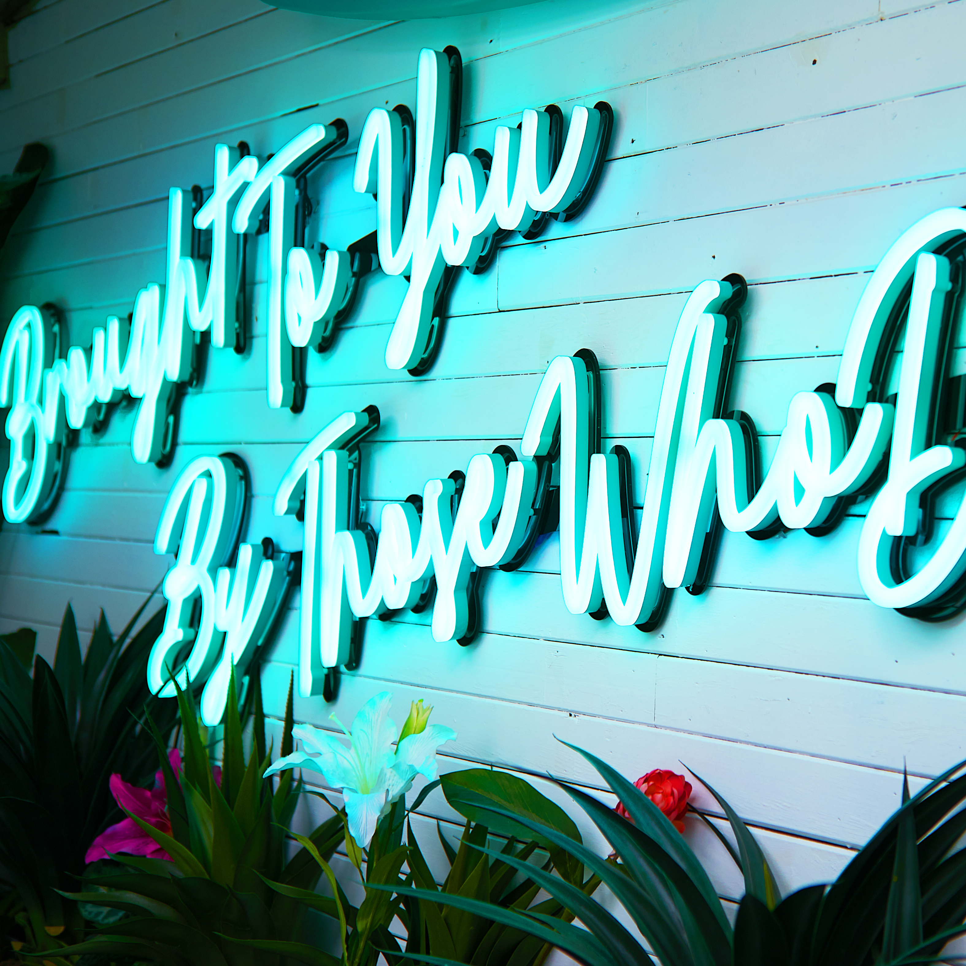 Little Havanna room - 13t41rfsppk.jpg