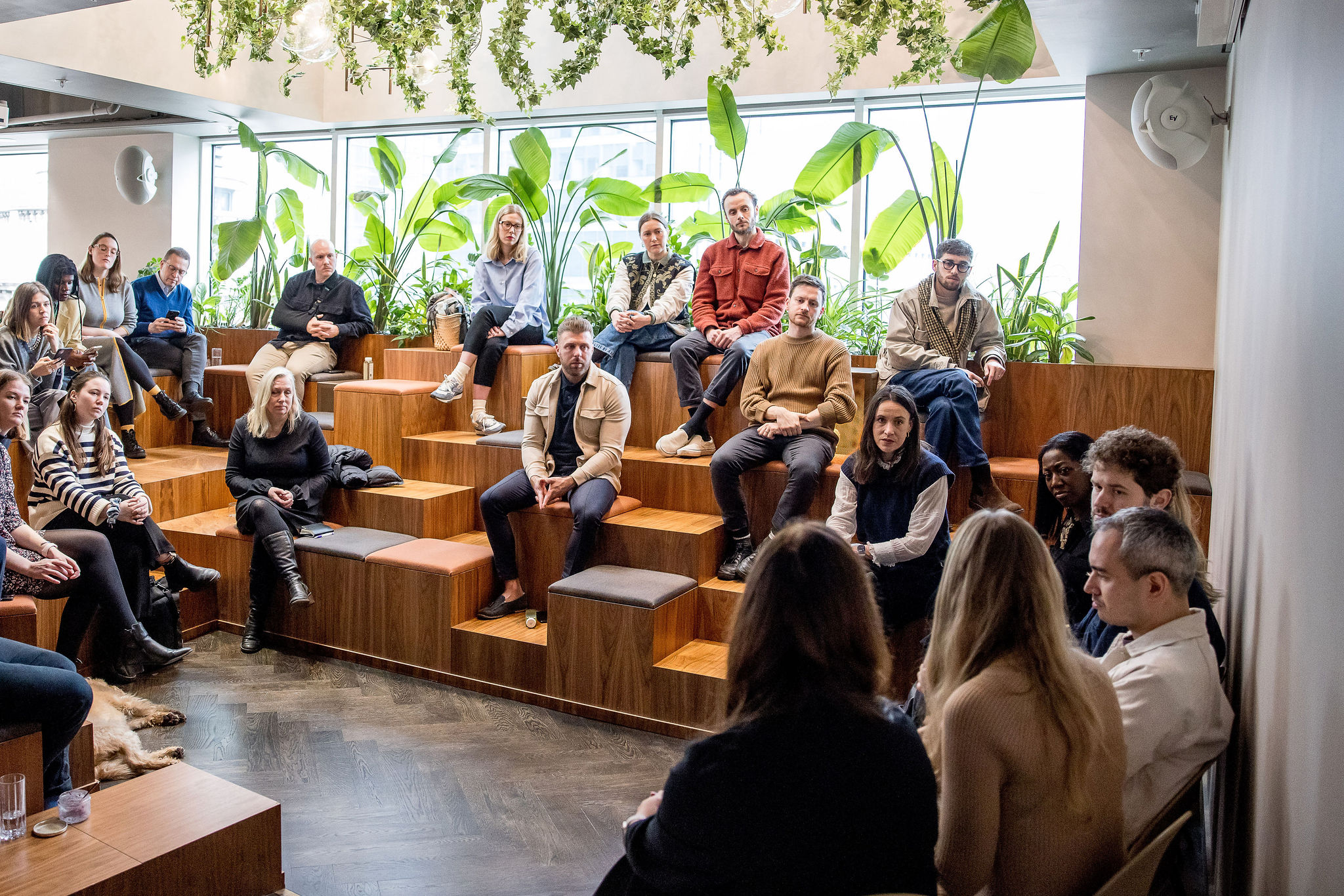 Auditorium  - af730dcc-cfe8-49a0-ac32-b6ae2ce56157.jpg