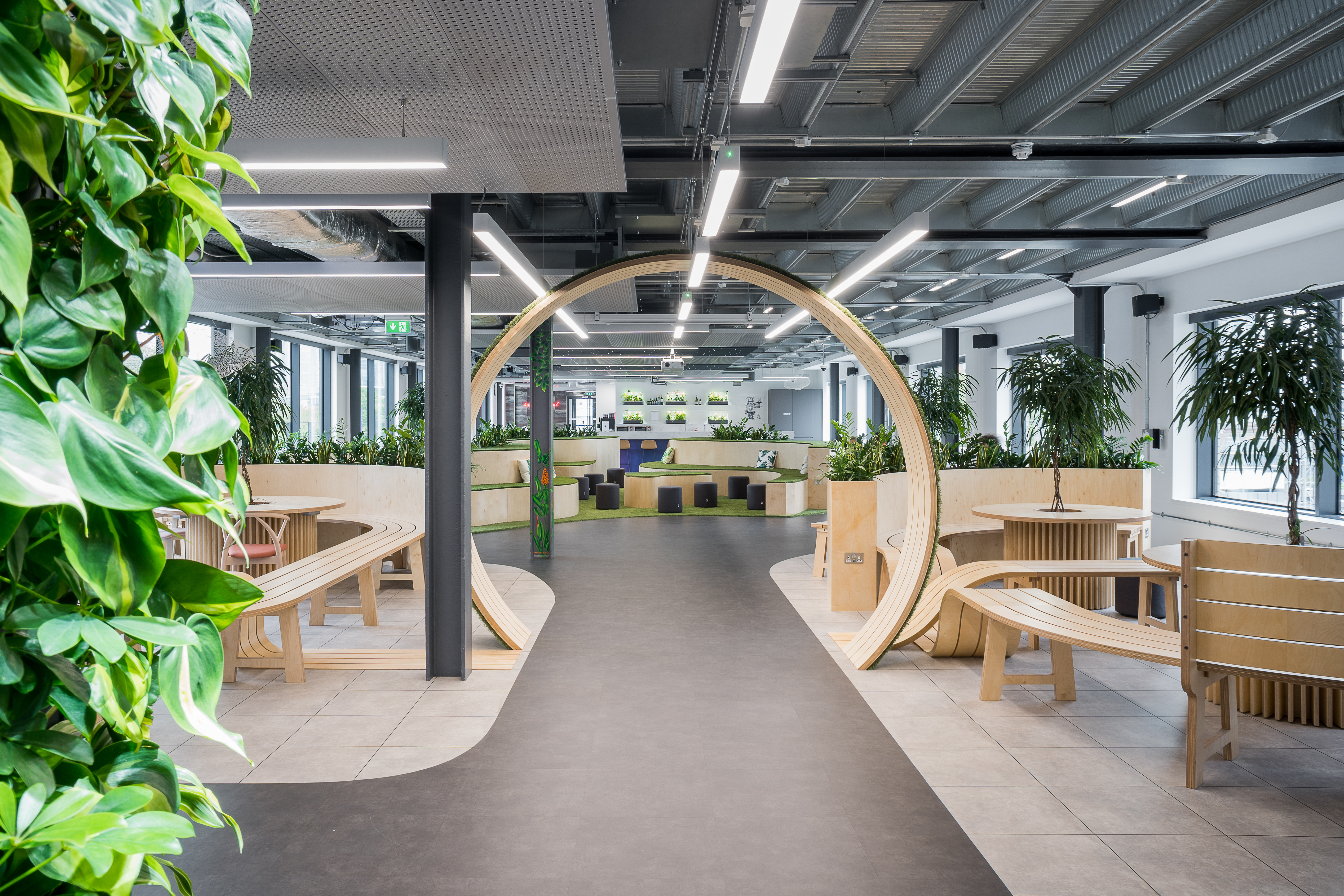 Modern meeting space in The Park London, featuring organic shapes and greenery for collaboration.