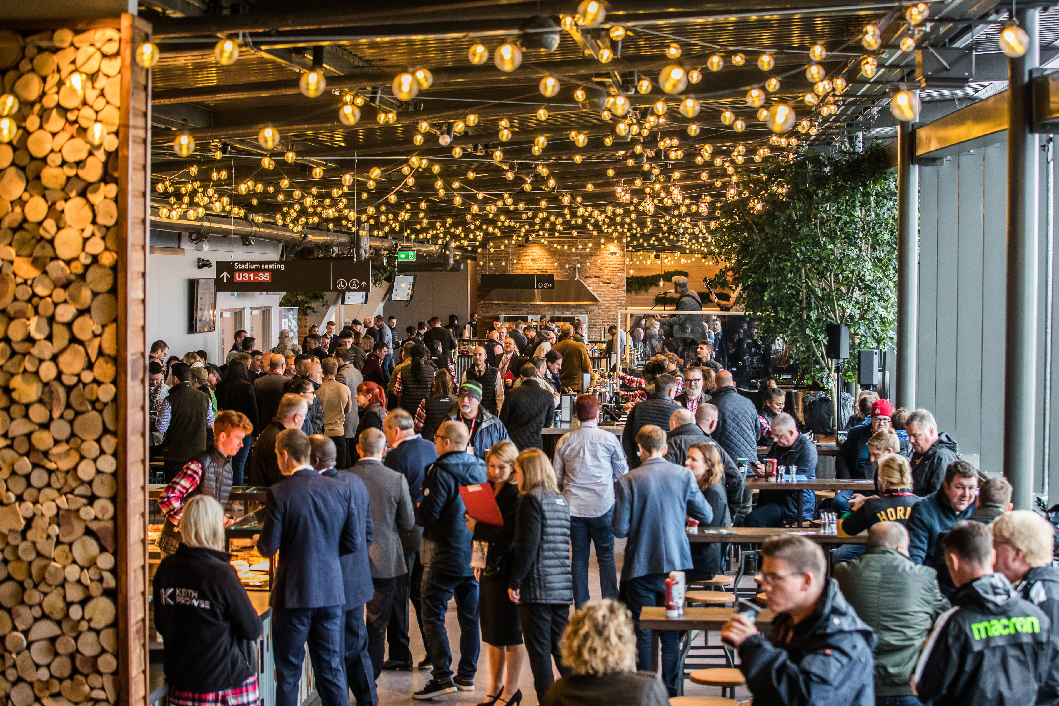 British Airways Rose Garden  - 0j0w2ugyhmn.jpg