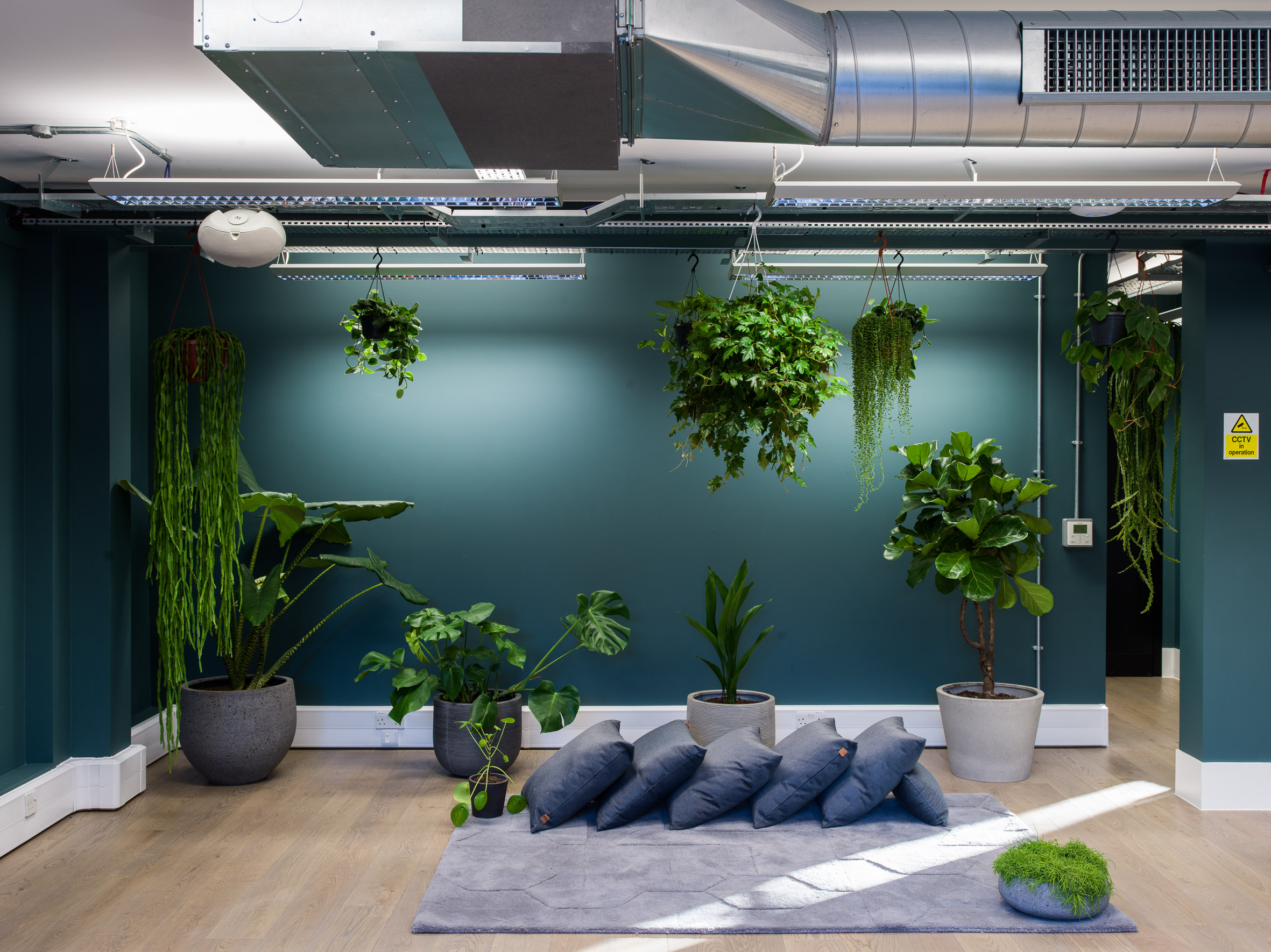 Zen Studio in Uncommon Fulham: vibrant meeting space with lush greenery for creative events.