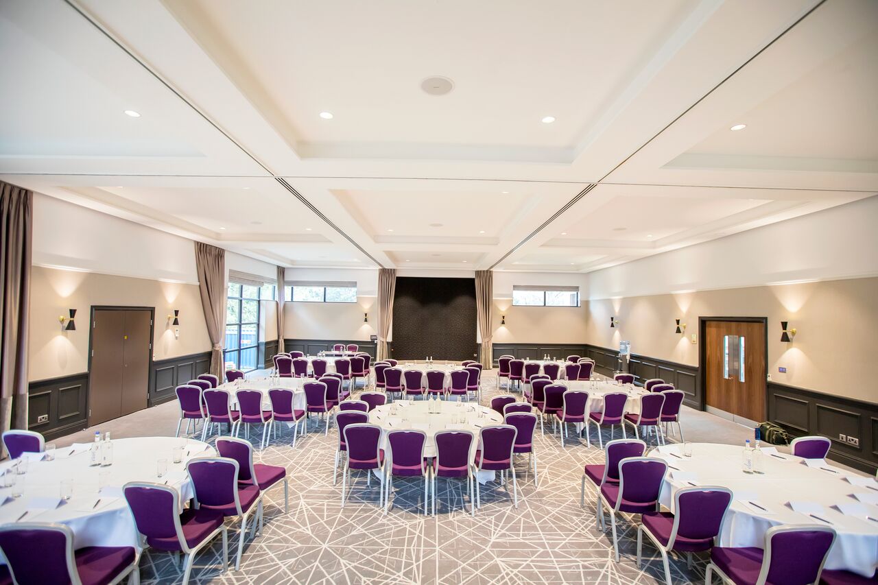 Princess Suite - m5hffeq3edz.jpeg