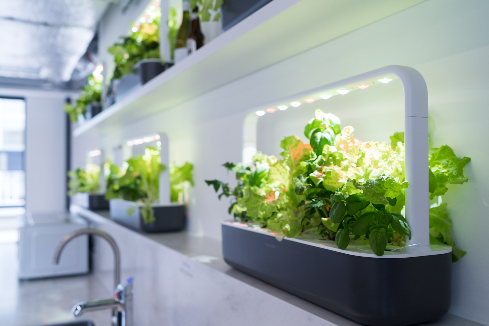 Modern indoor garden in London venue for sustainable wellness events.