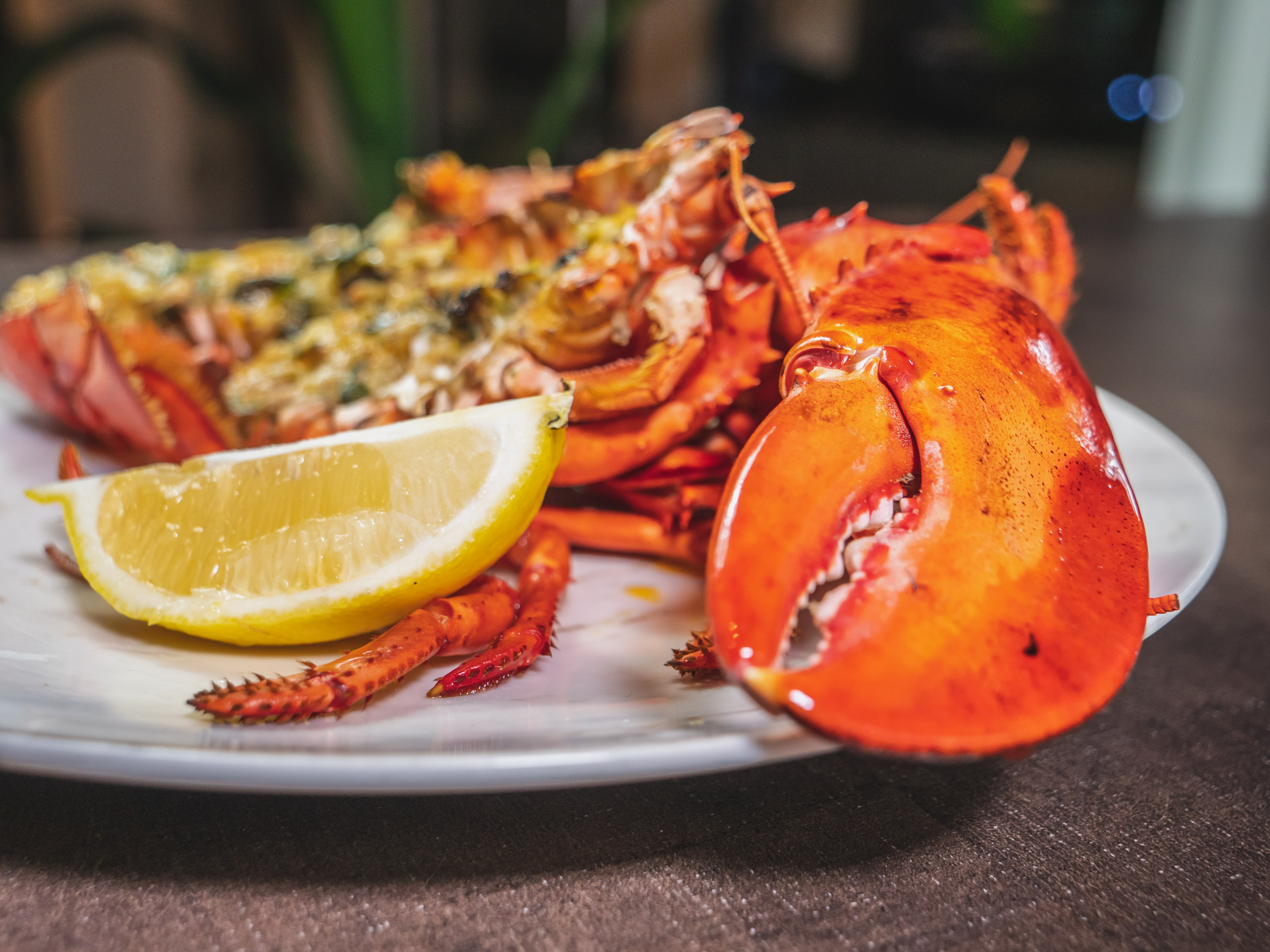 Whole Venue - fxmwqiz51cm.jpg