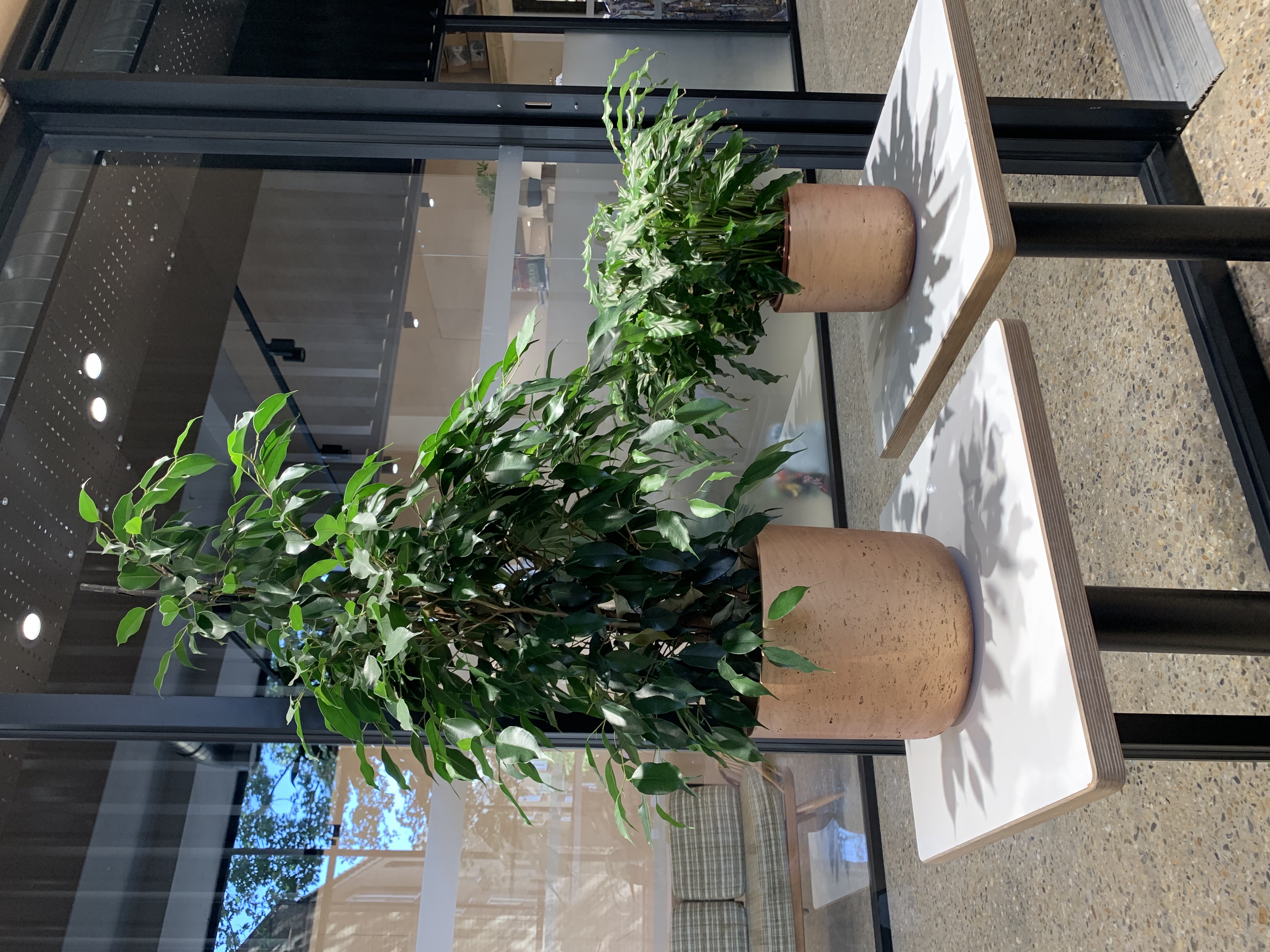 Pod 4 - 0pomhpcs4yk.JPG